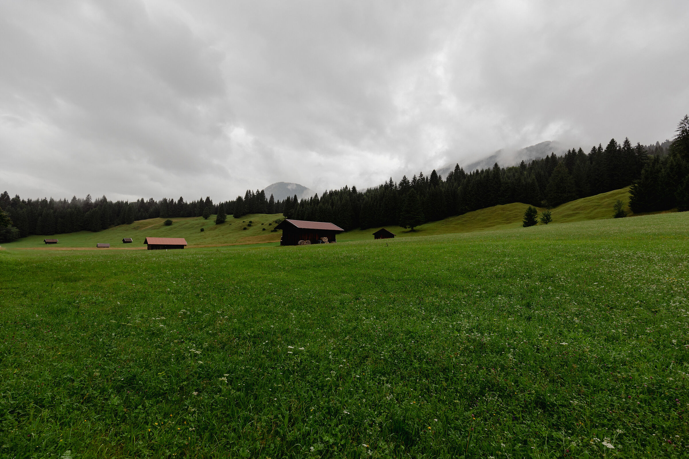 campagne bavaresi