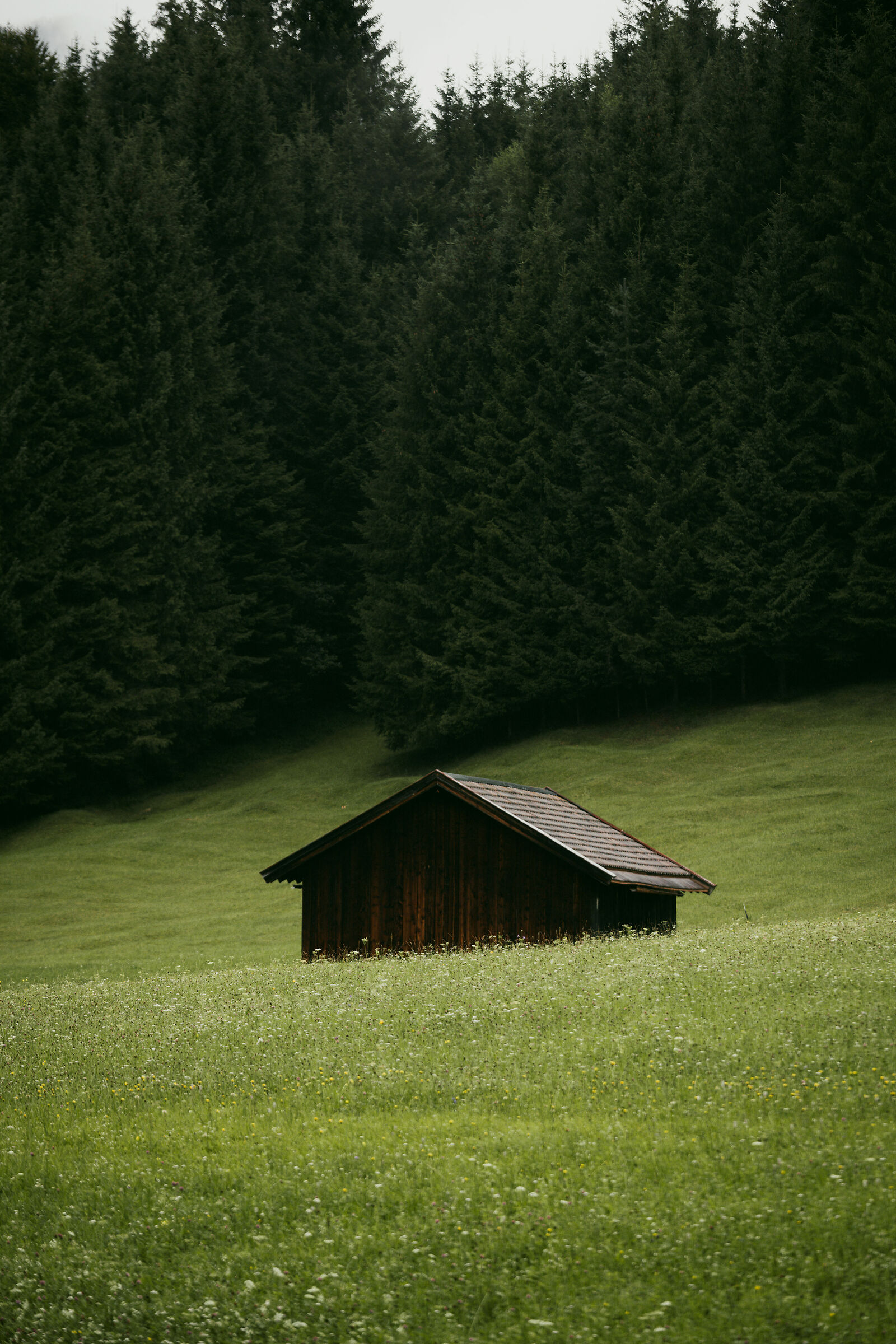 campagne bavaresi