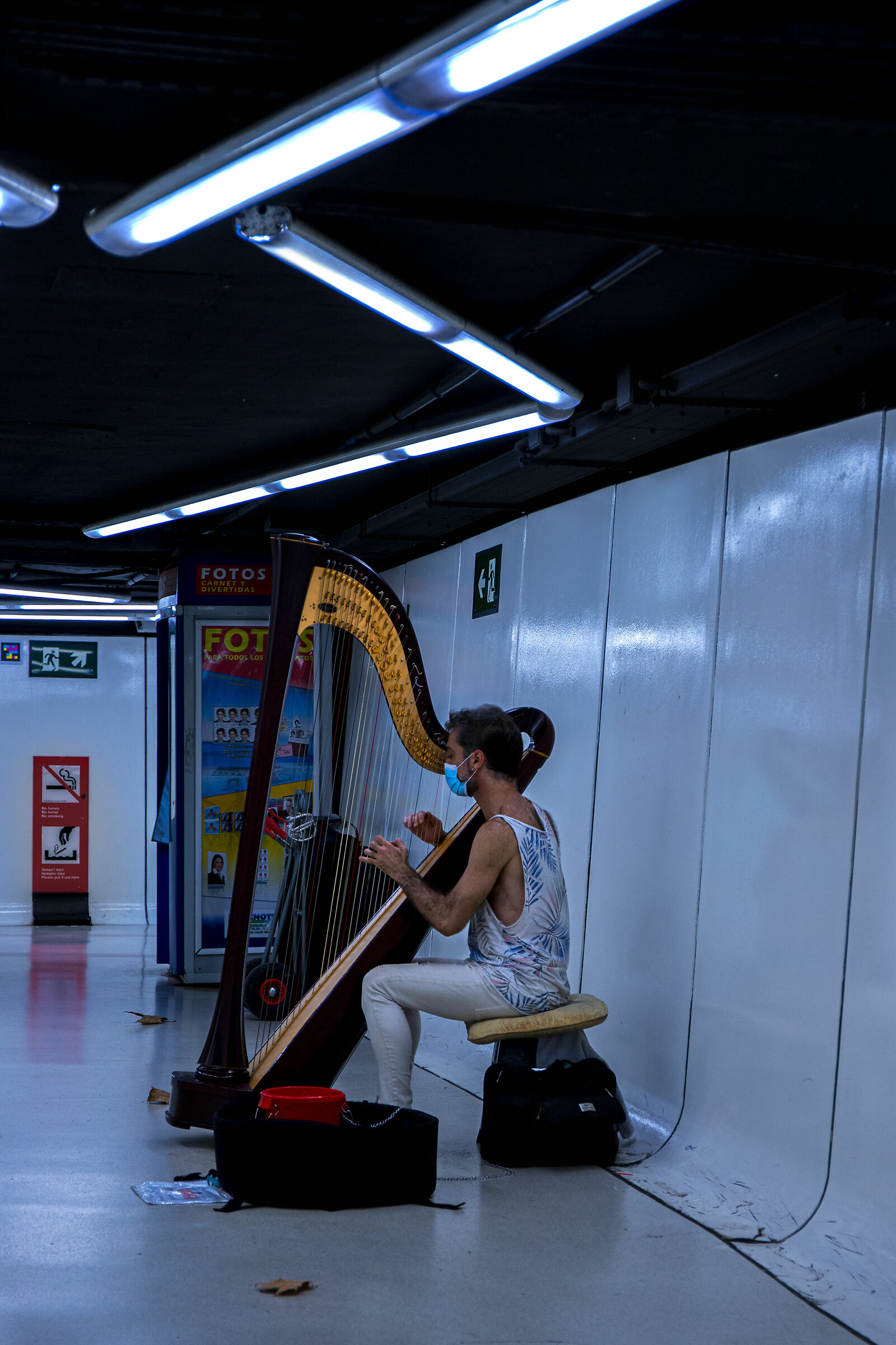 musicista