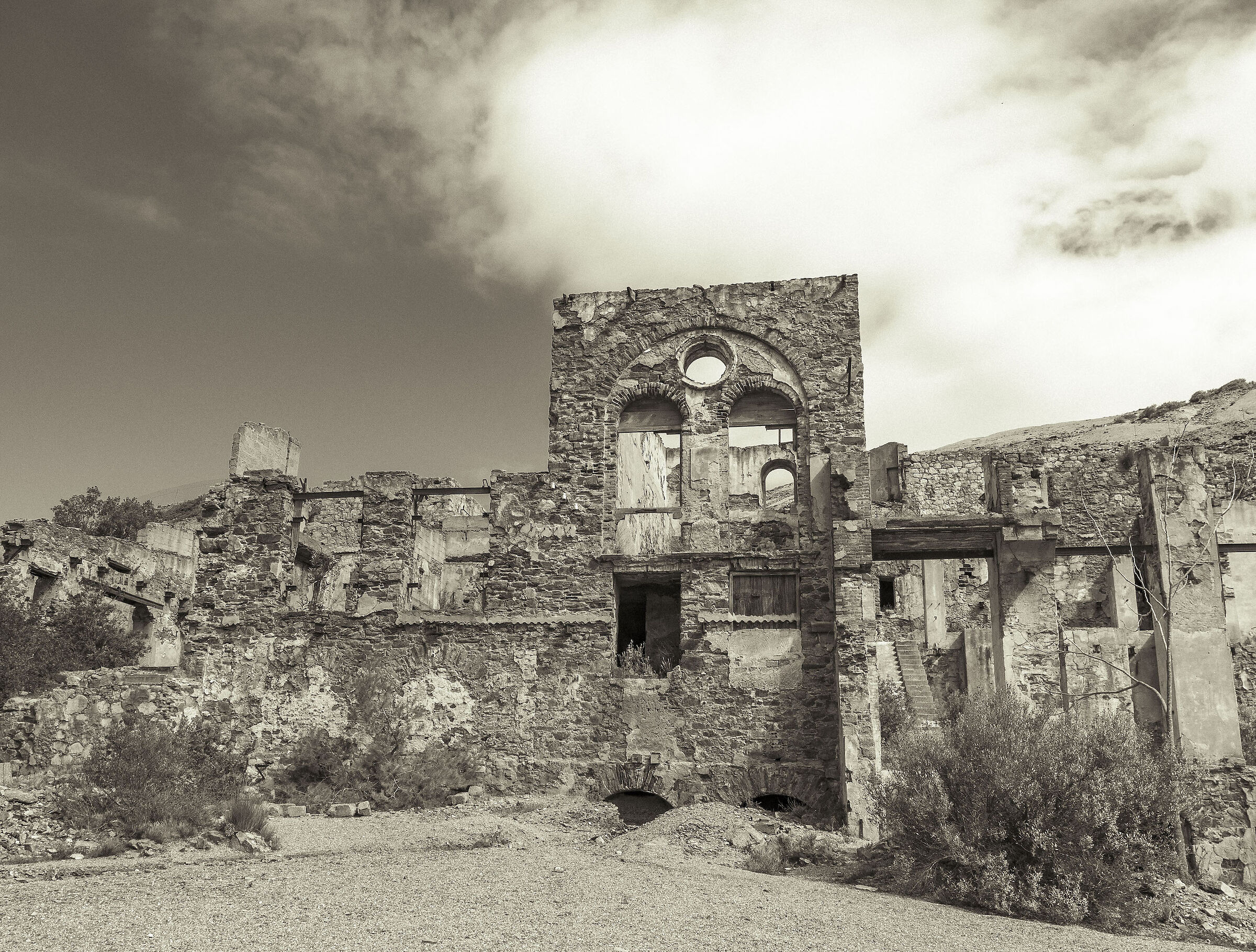 Laveria Brassey - Arbus