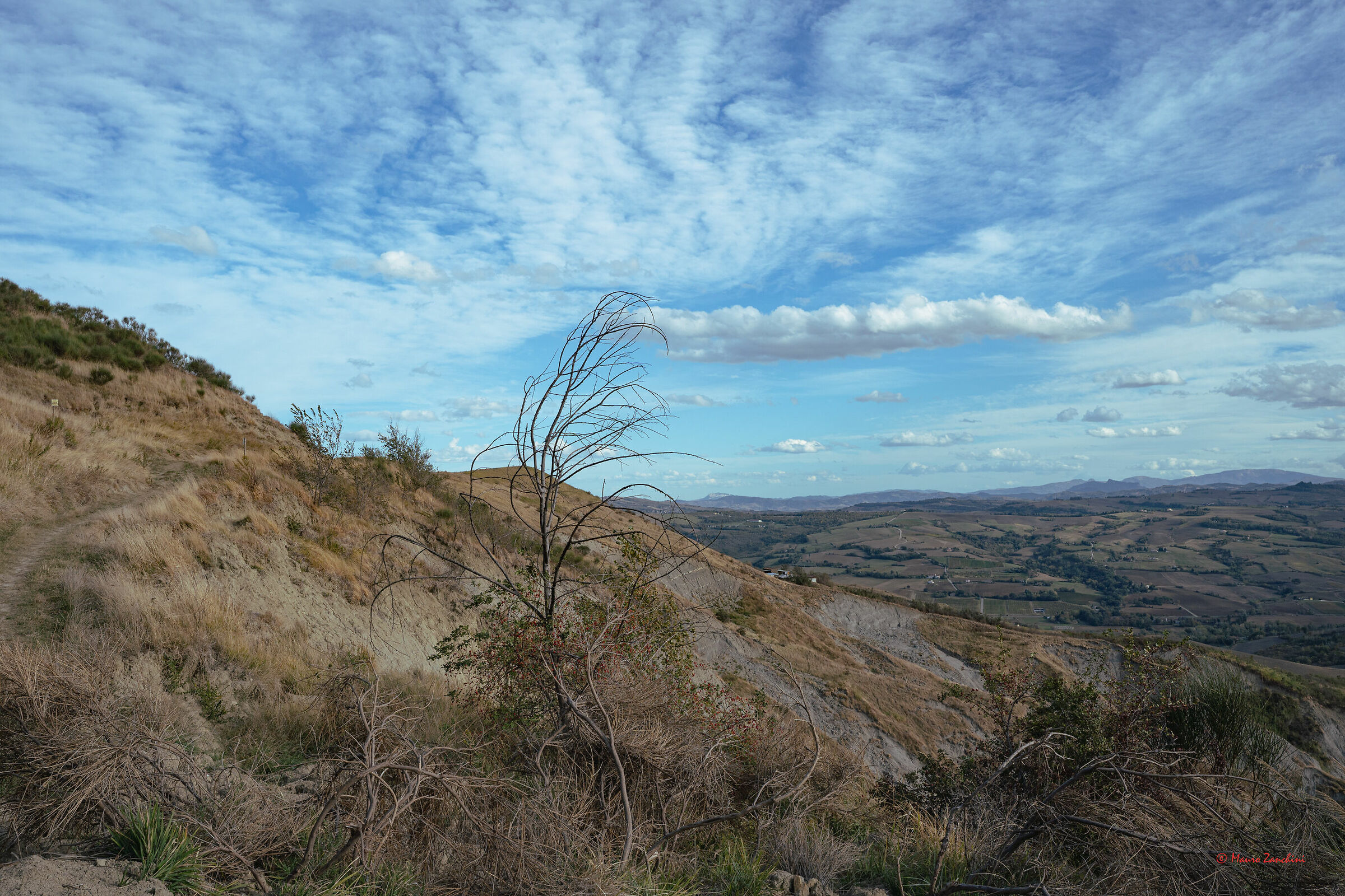 Colline forlivesi con calanchi