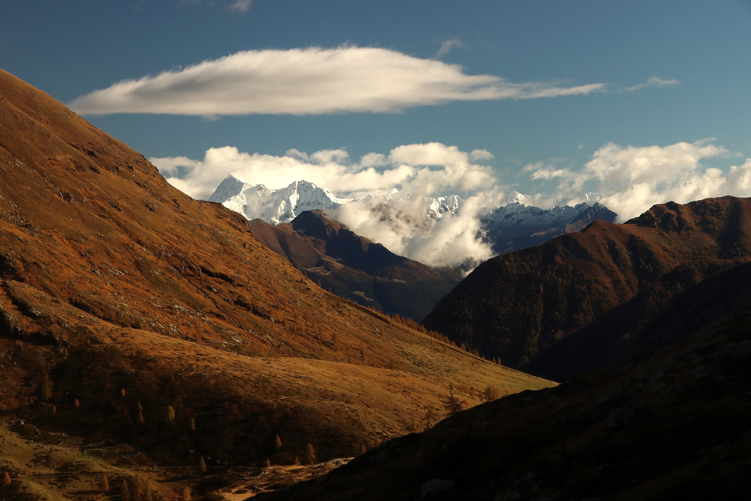 l'Adamello tra le "quinte"
