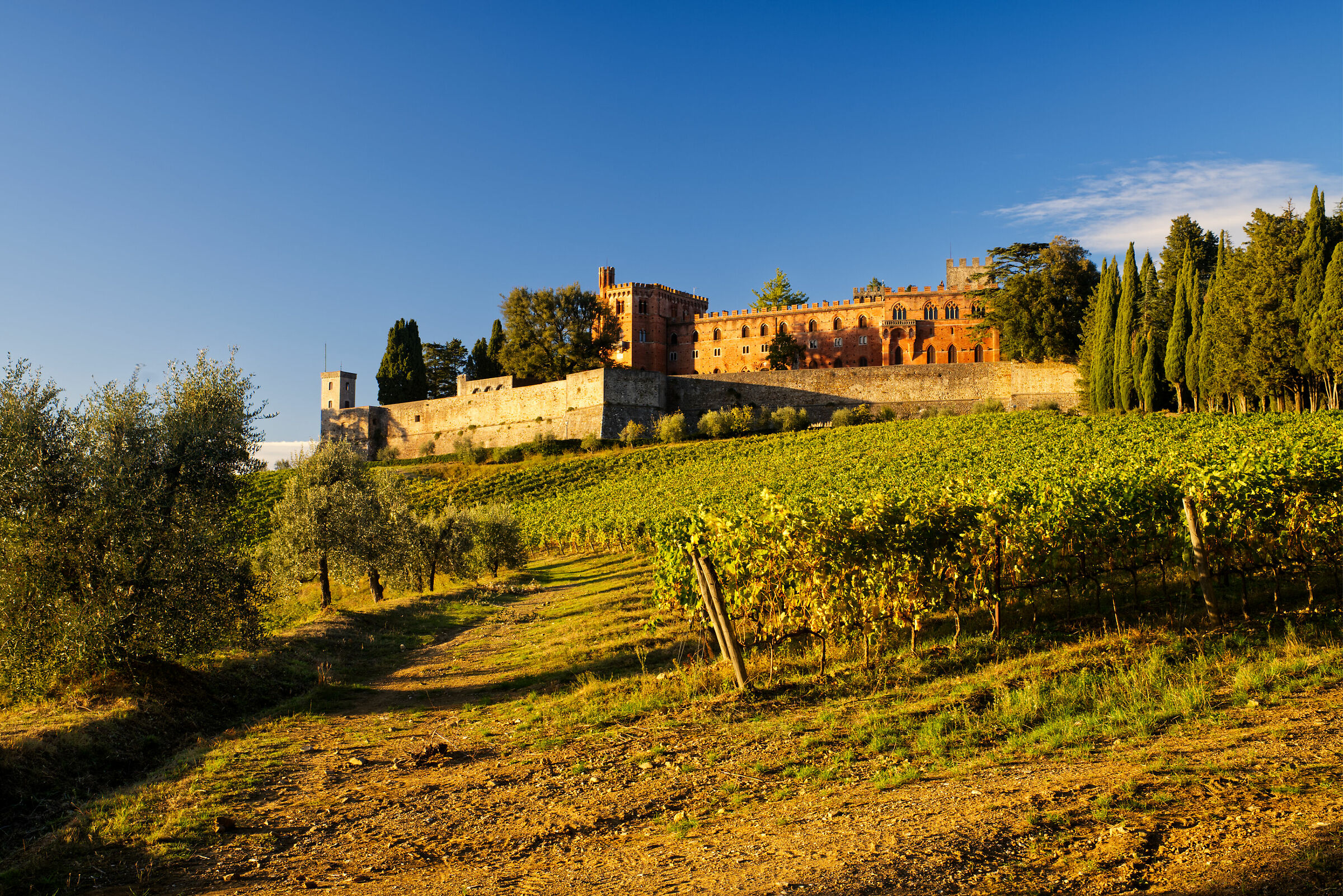 Castle of Brolio