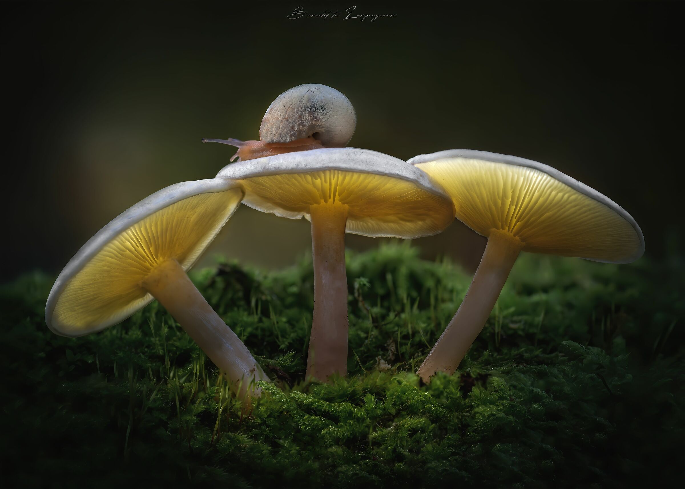 Piano piano, segui la tua luce