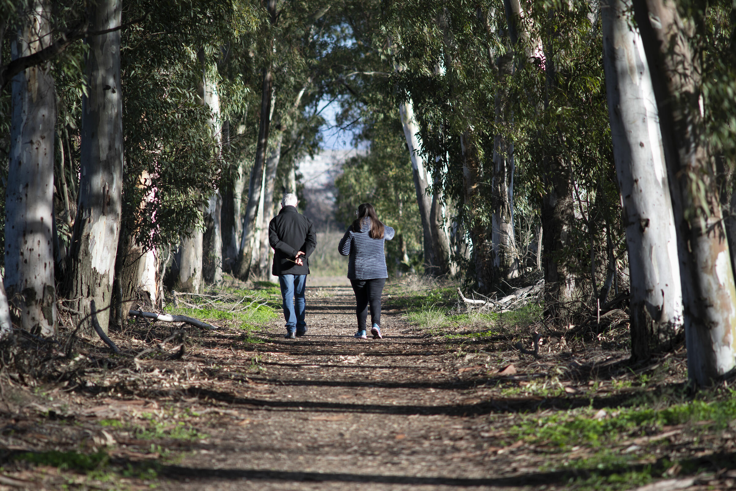 Passeggiata nella tenuta