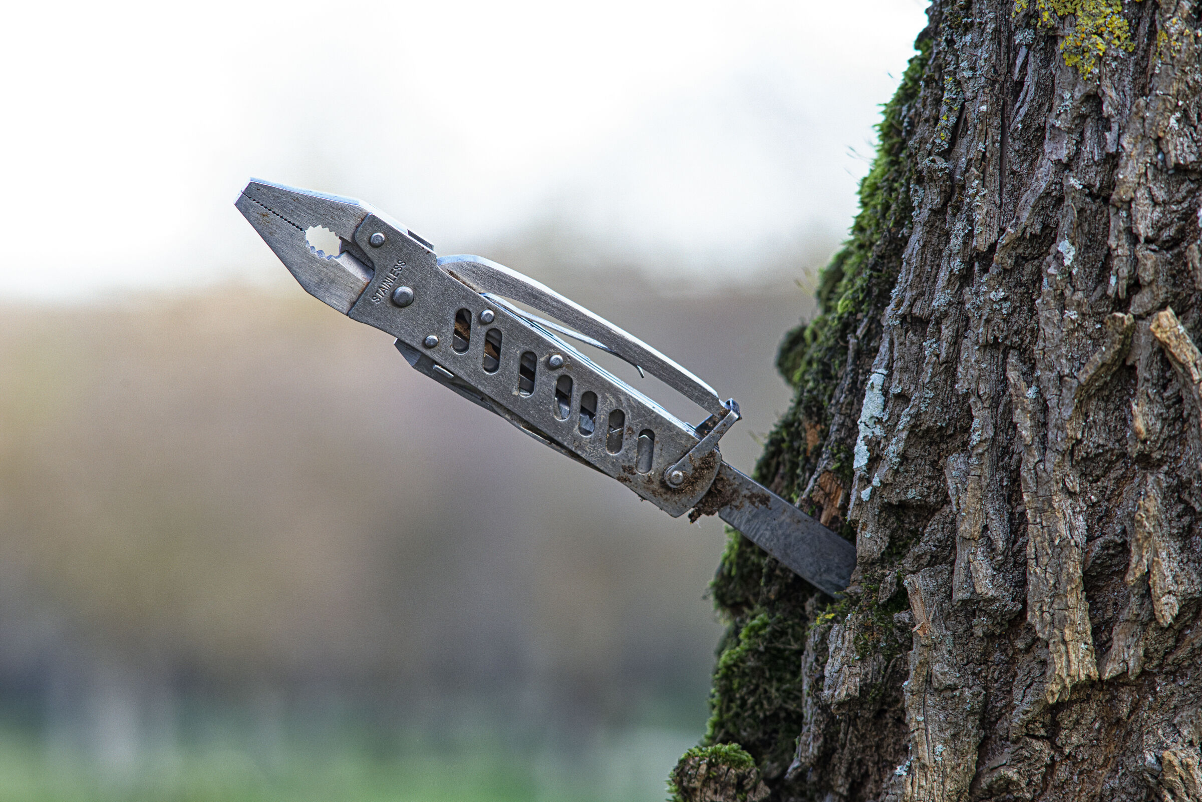 Coltello nell'albero HC