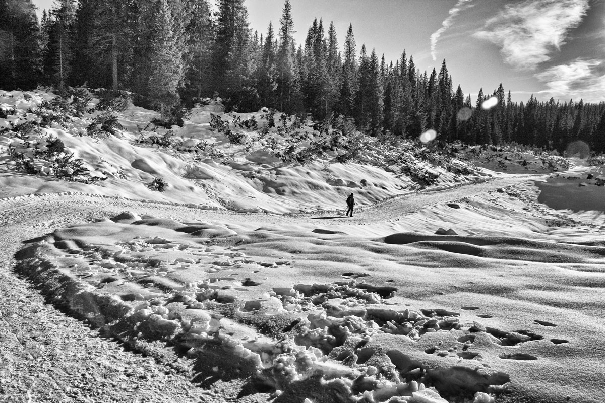 Walking with the snow