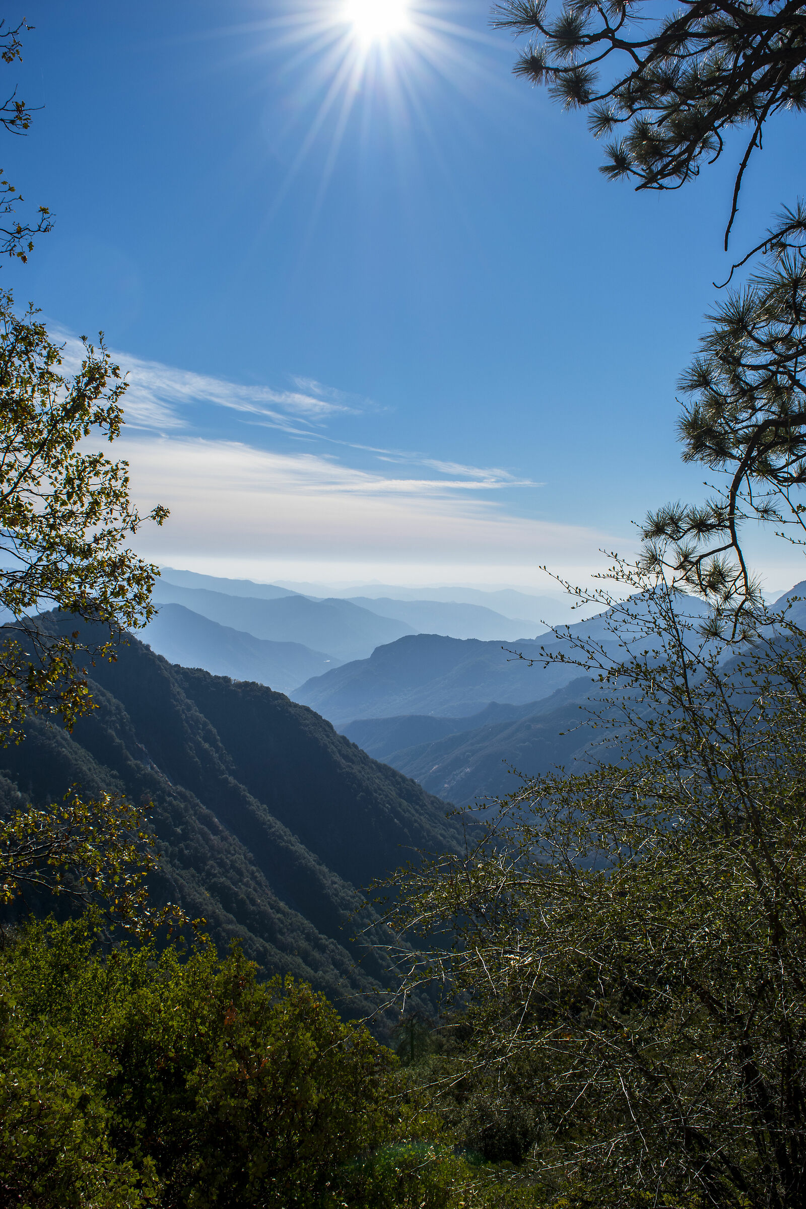 Andando verso il Sequoia National Park