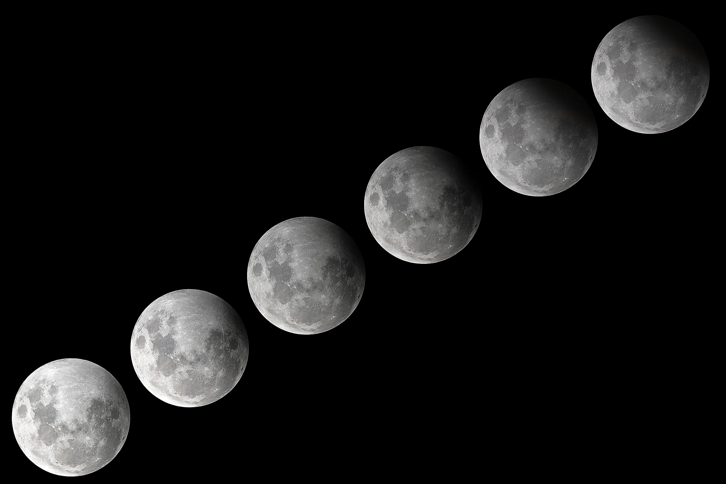 Bark at the (partial) Moon