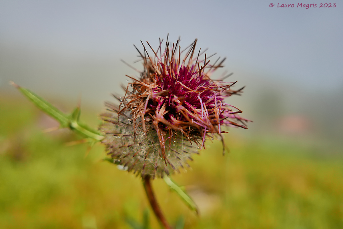 At the end of the season