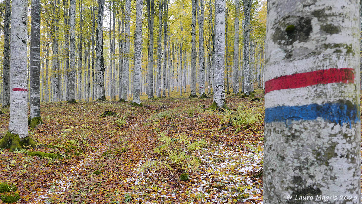 Tra i colori e le tracce