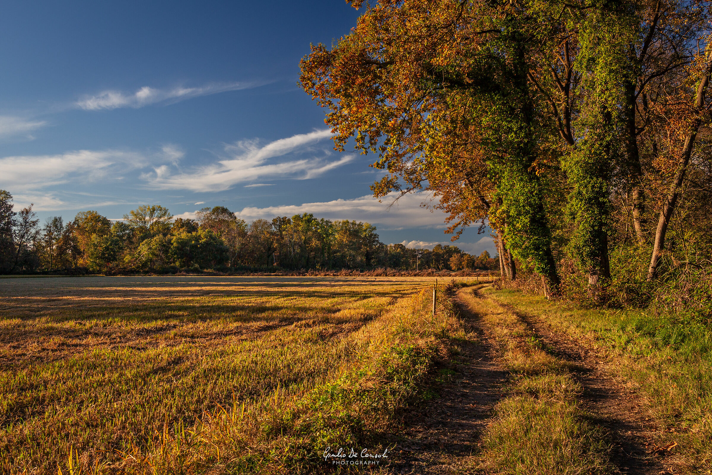 Along a country road in Lomellina - pt.1