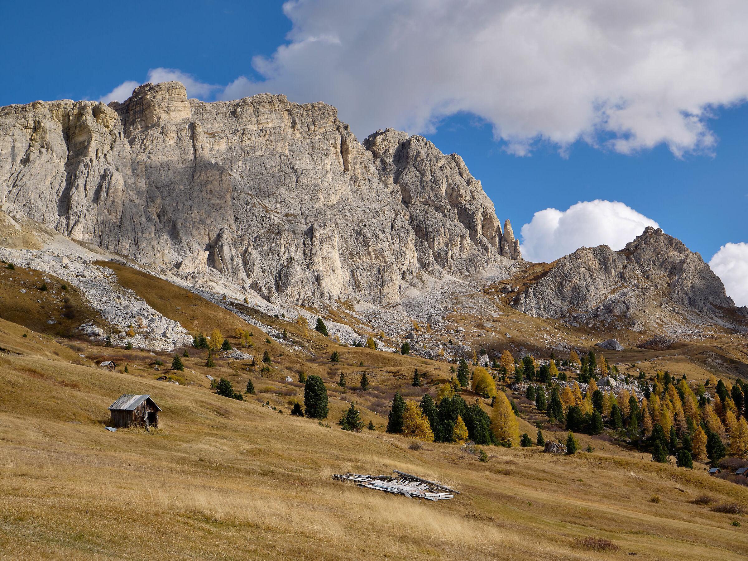 Golden Autumn day