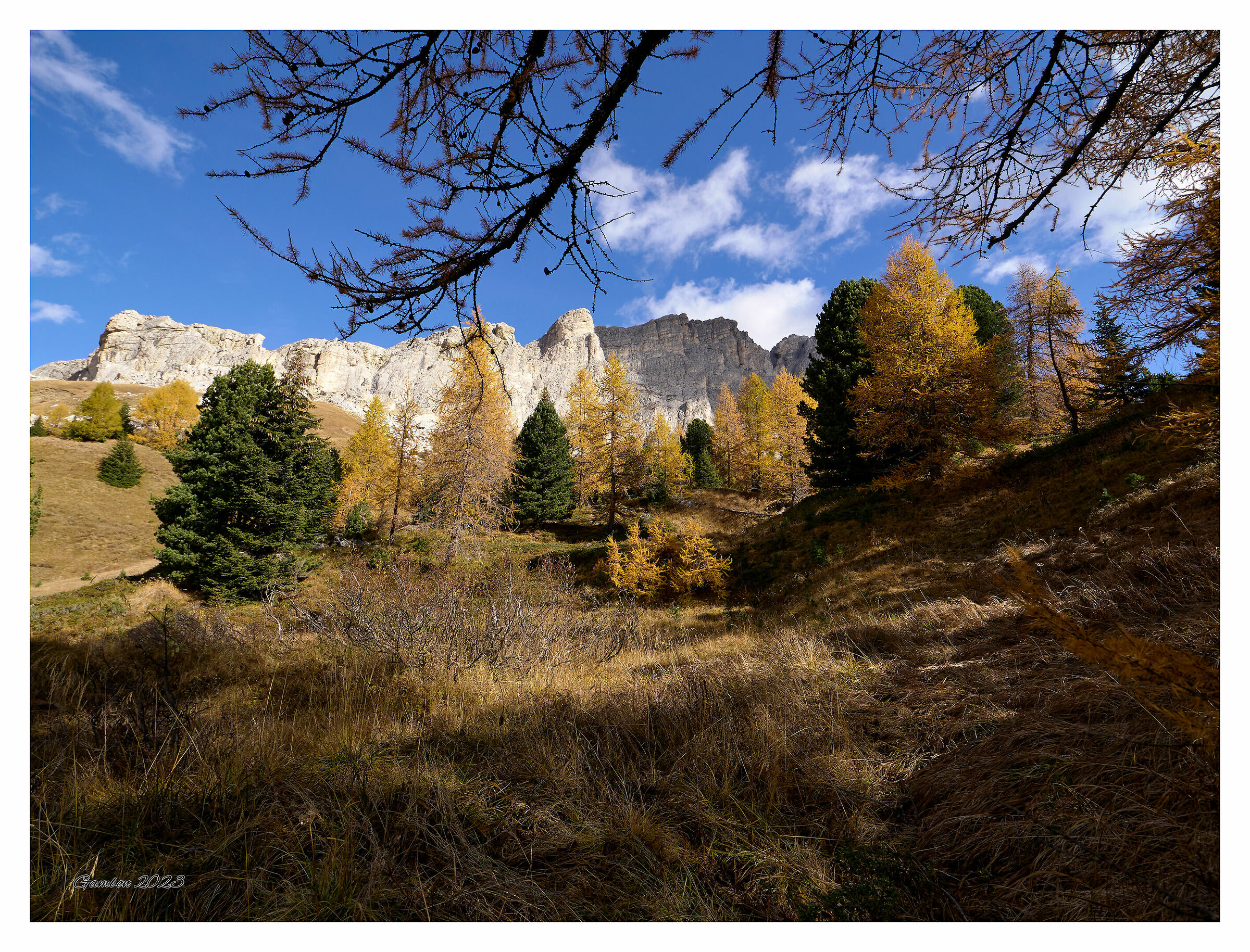 Golden Autumn Day