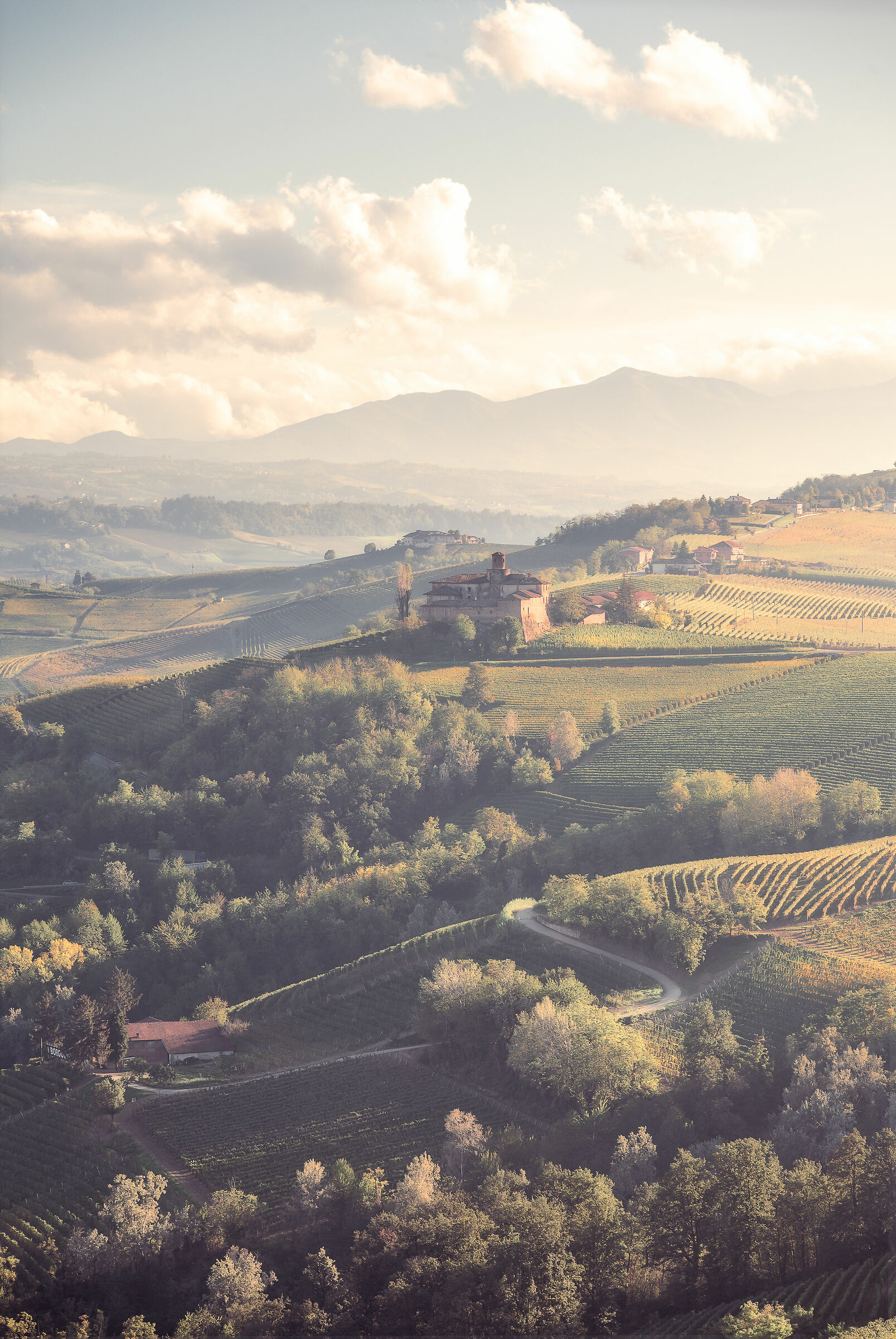 castelli delle Langhe