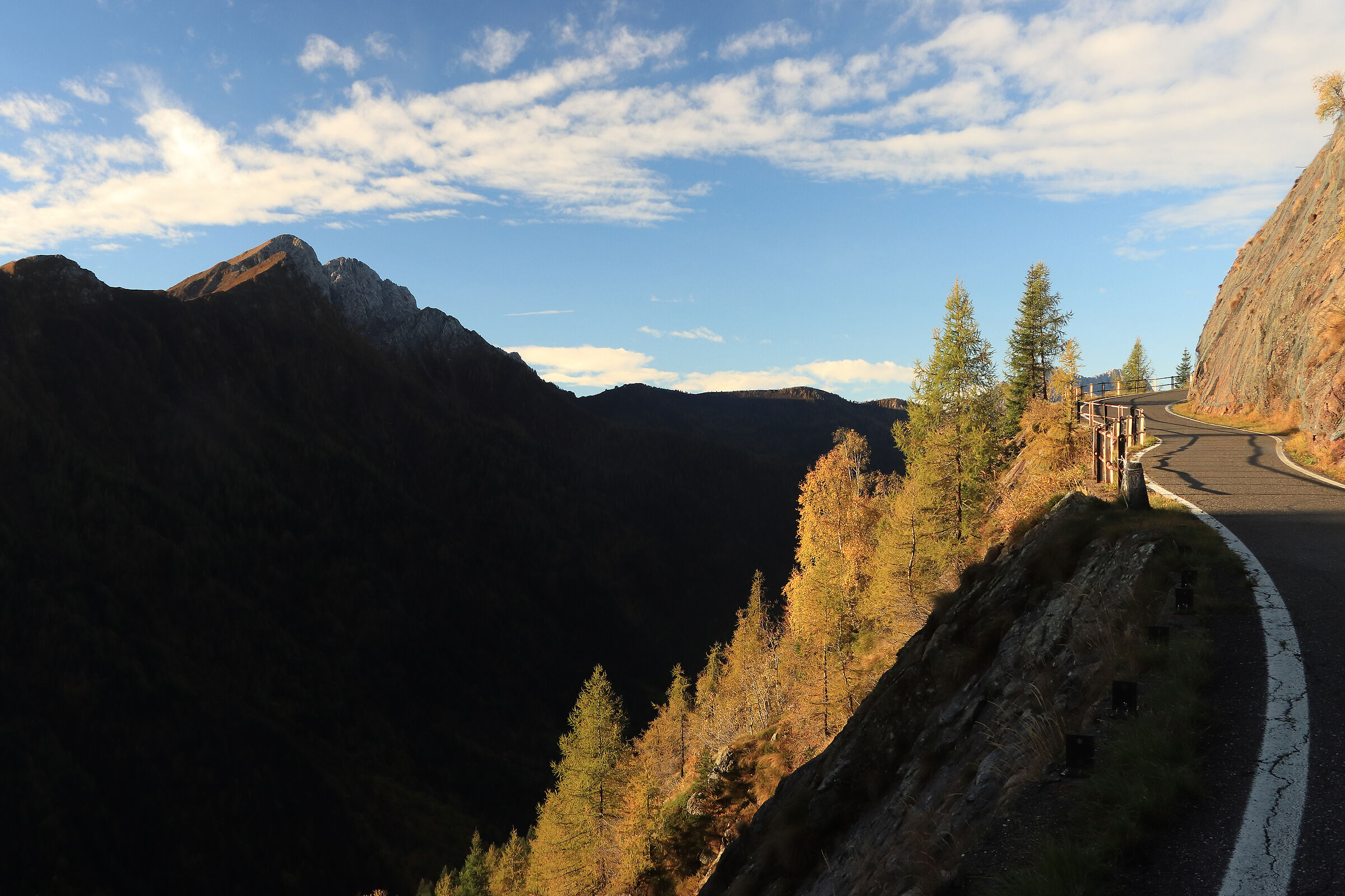 daring Vivione street