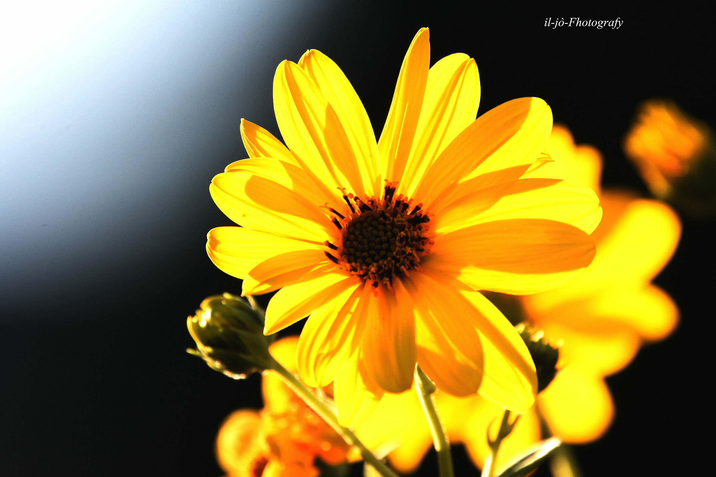 Untitled Photo