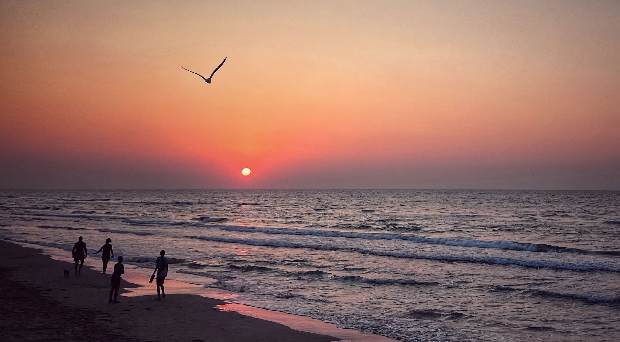 In perpetuo volo …