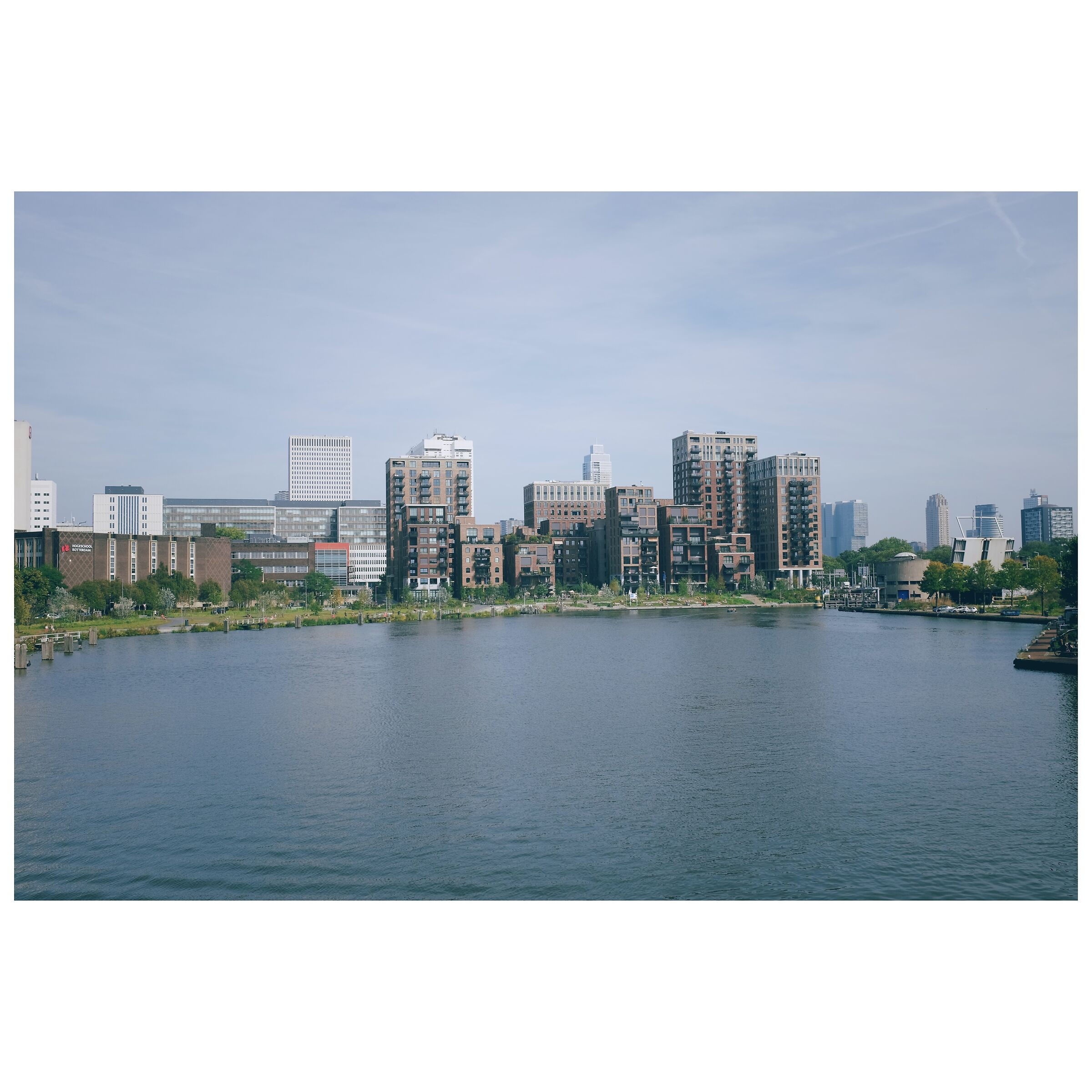 Rotterdam's Skyline