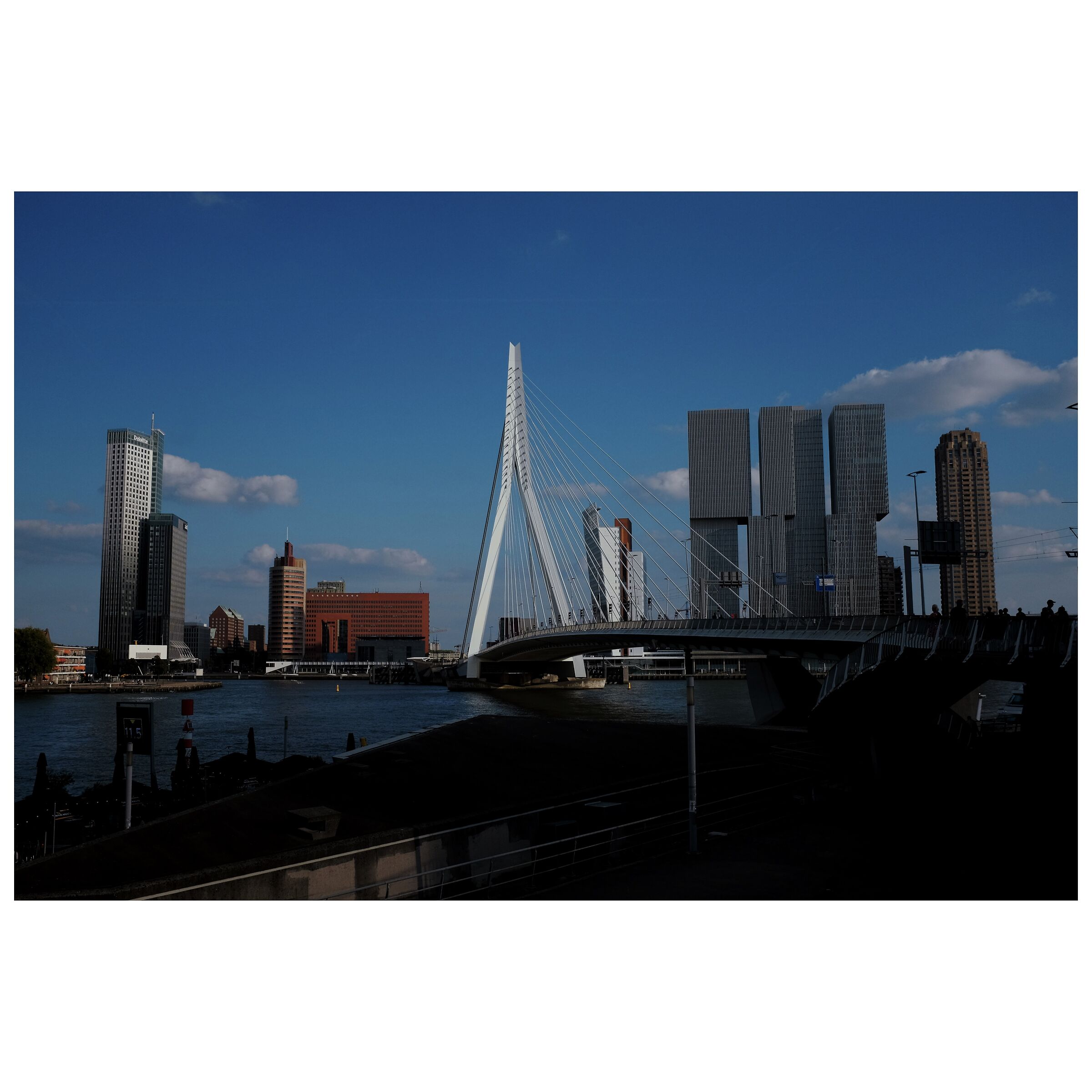 Rotterdam's Skyline