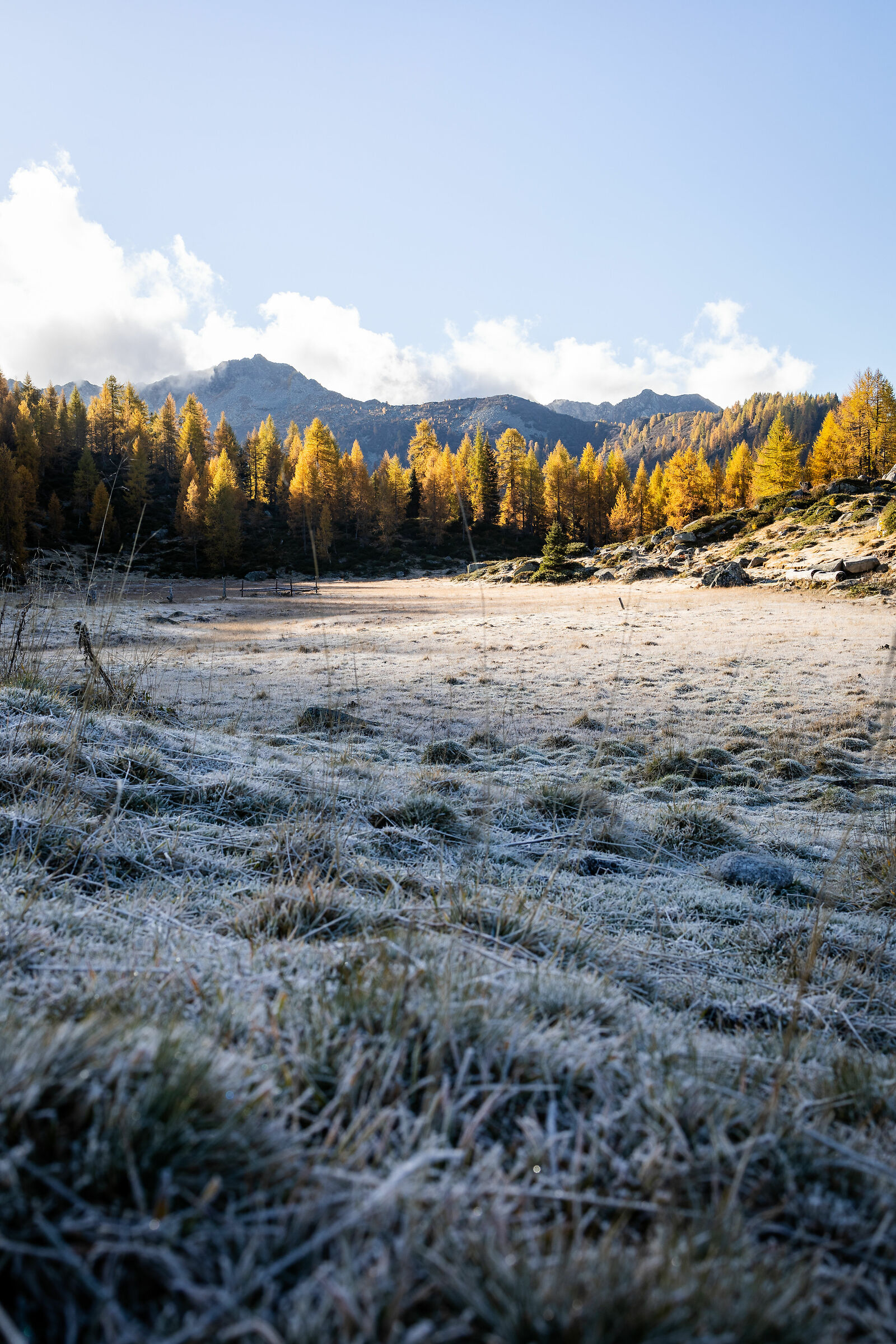 Walk to the St. Julian's Lakes