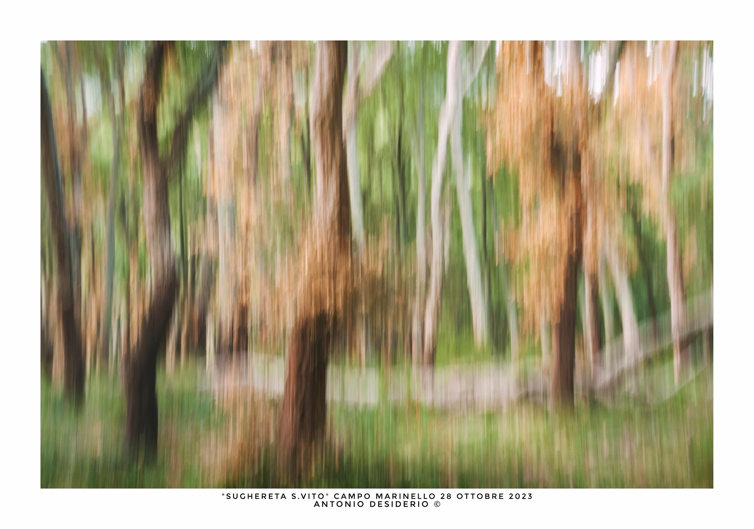 Prime pennellate di autunno