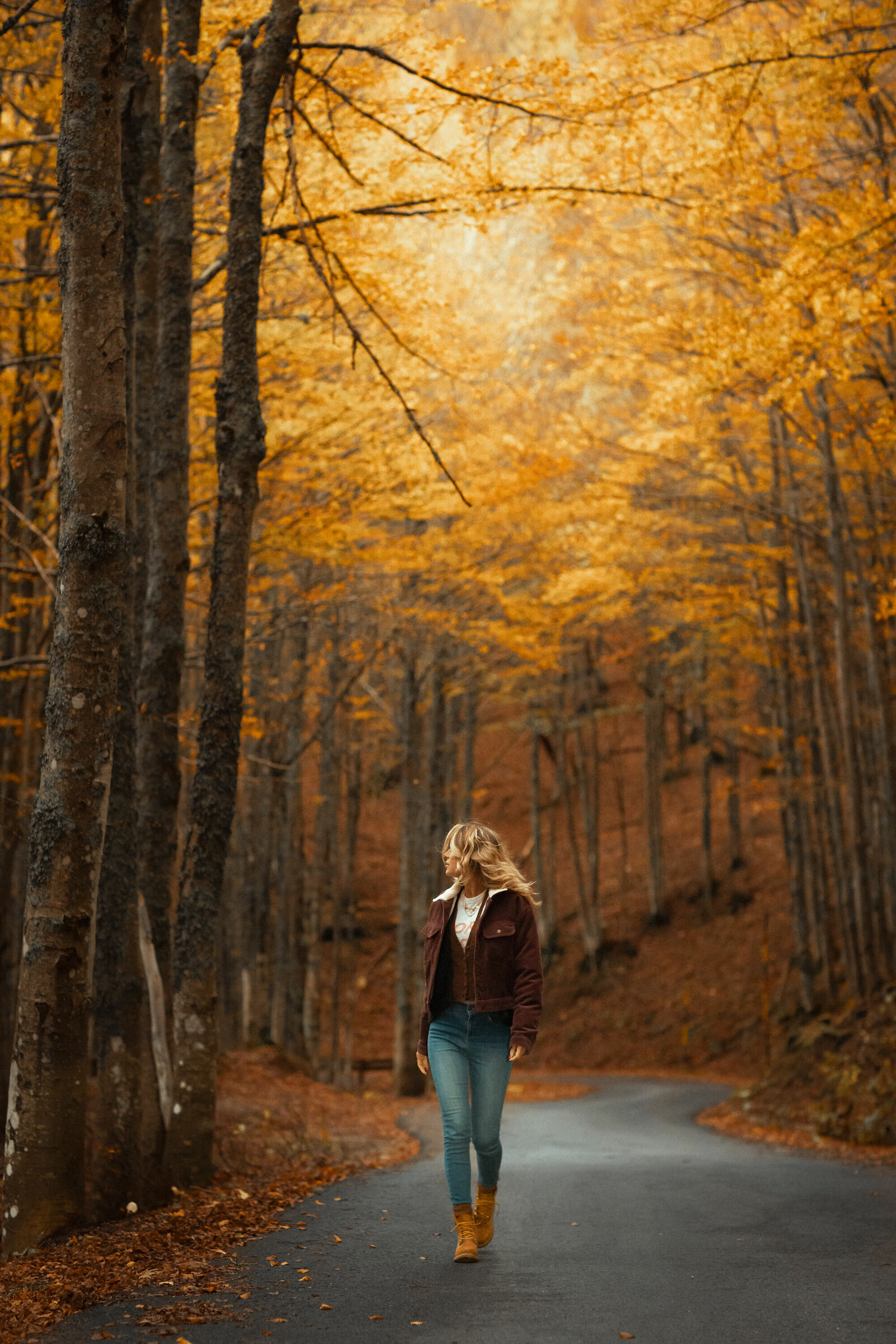 The usual beautiful autumn in the Apennines