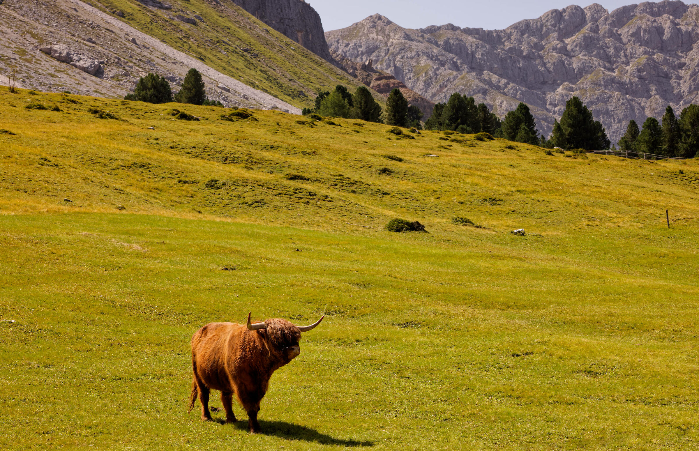 Würzjoch, agosto 2023