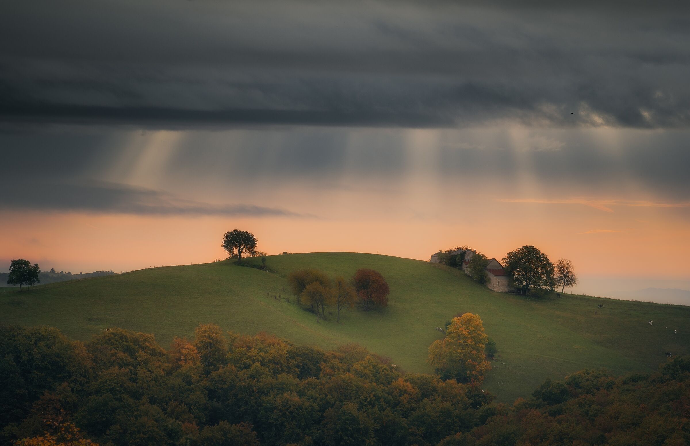 Autumn atmospheres in Lessinia