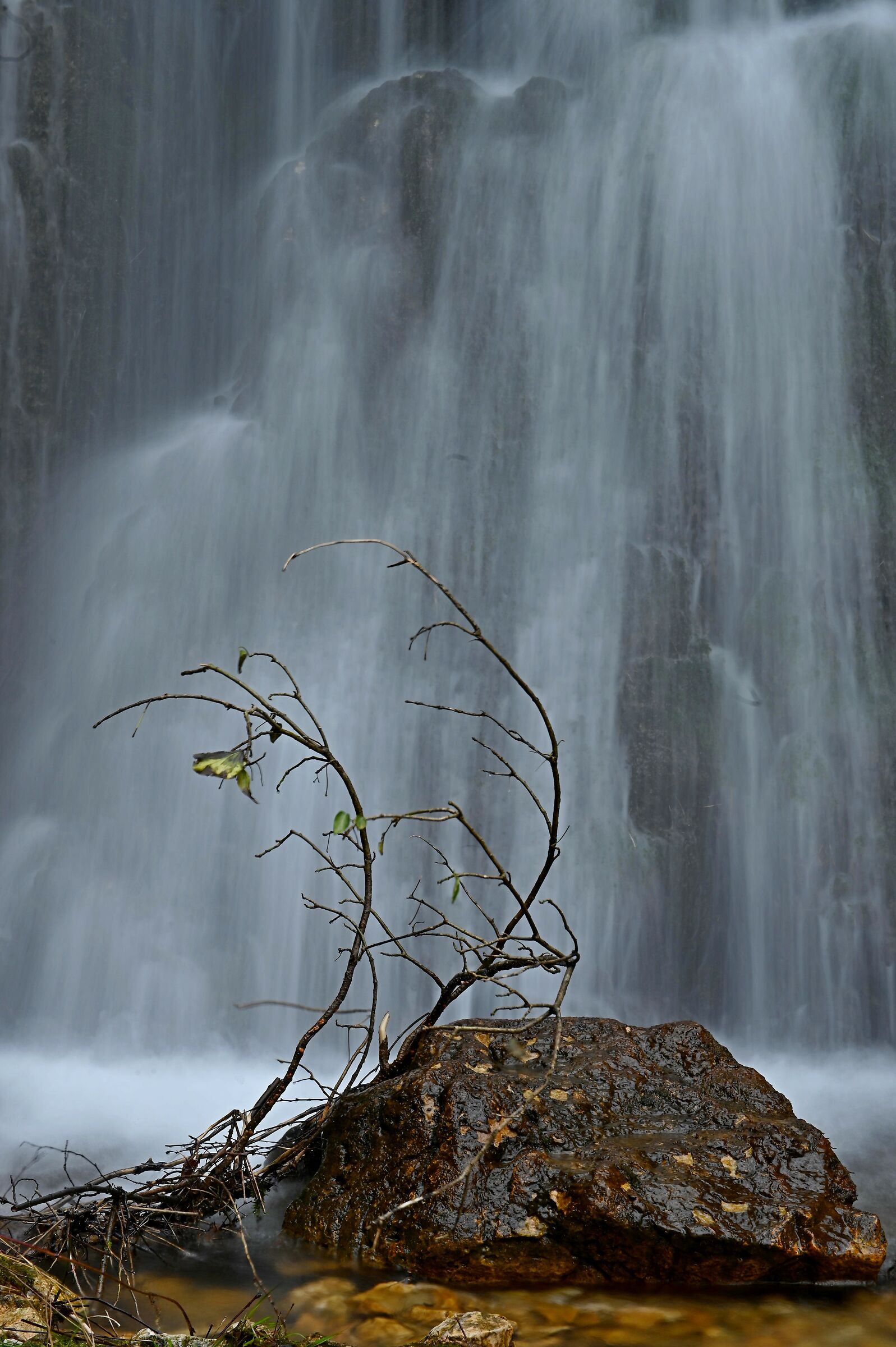 Waterfall in the background