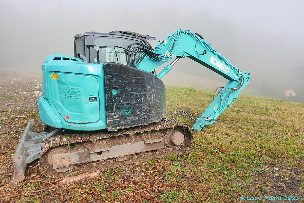 Turchese in Cansiglio