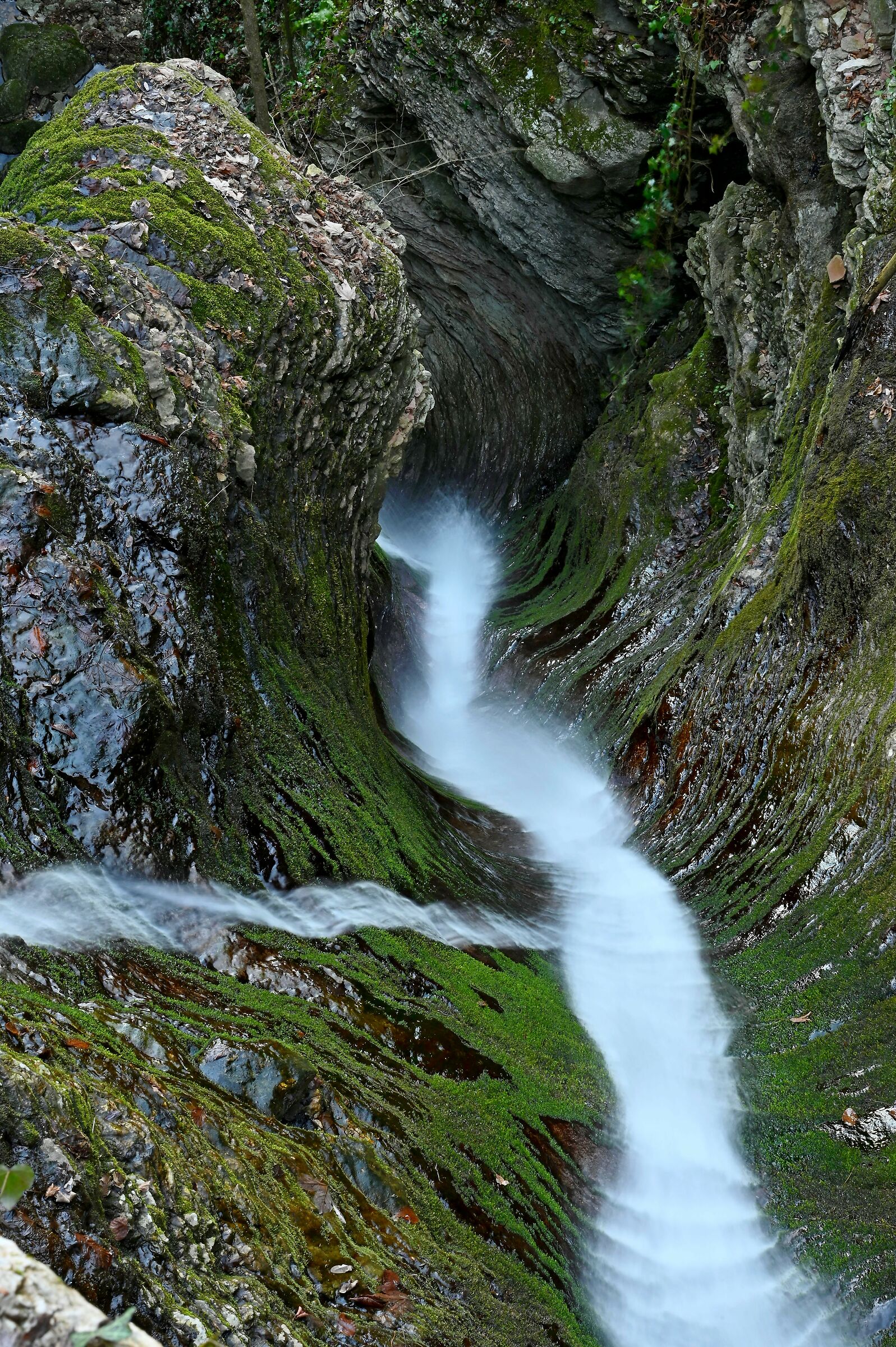 Rivulets