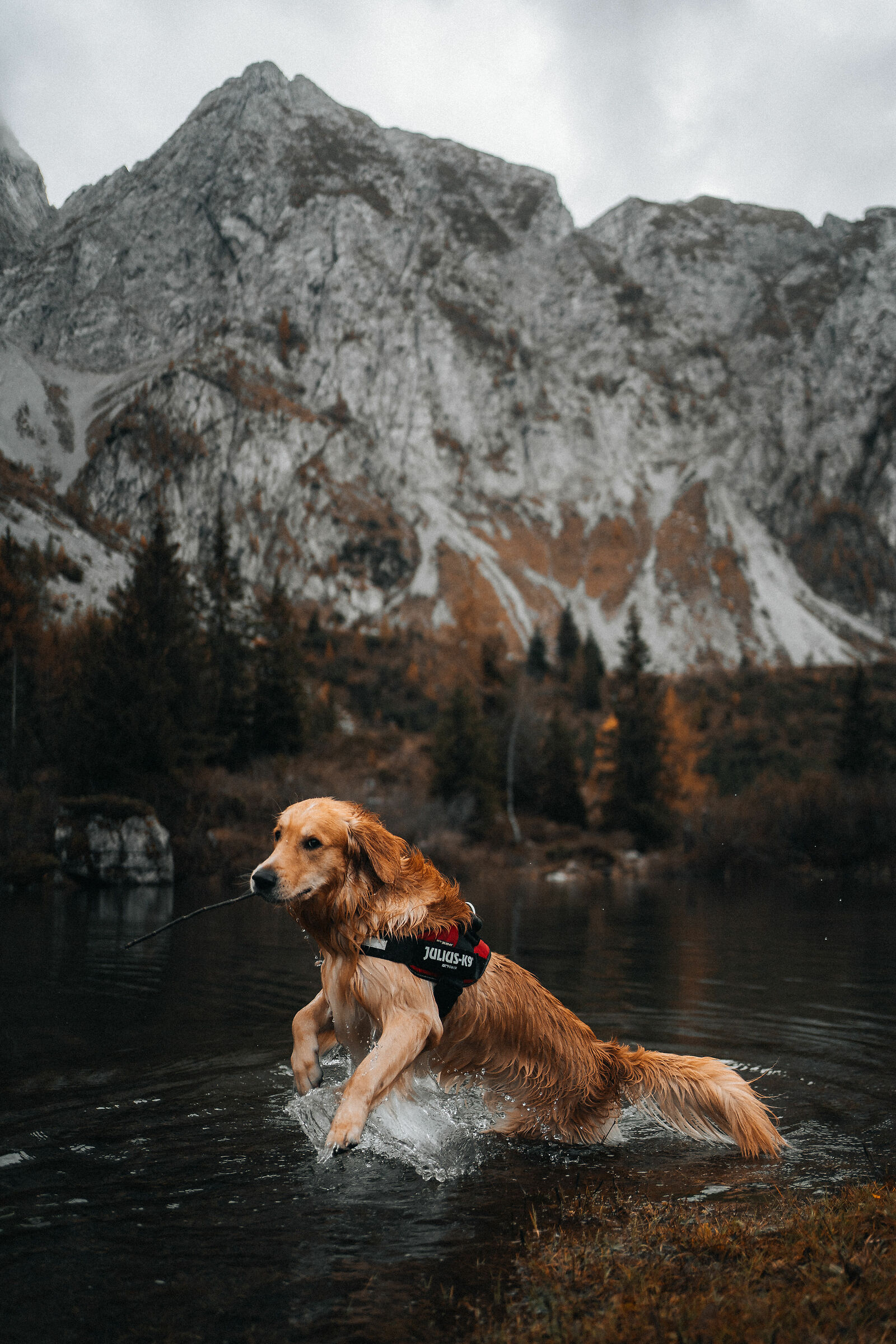 Murphy in Val di Scalve