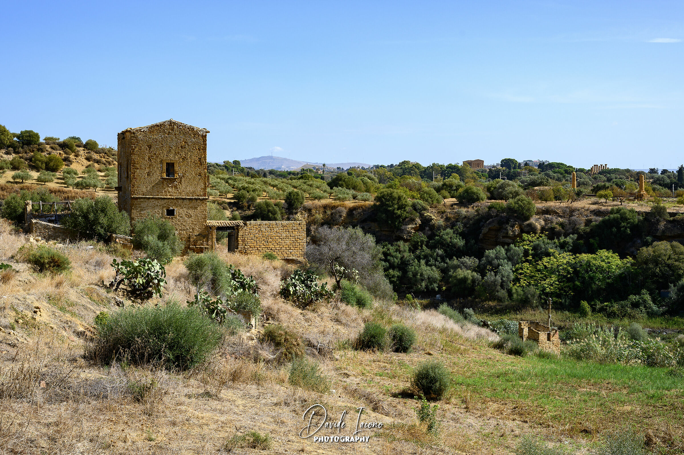 Different perspective on the Valley of the Temples
