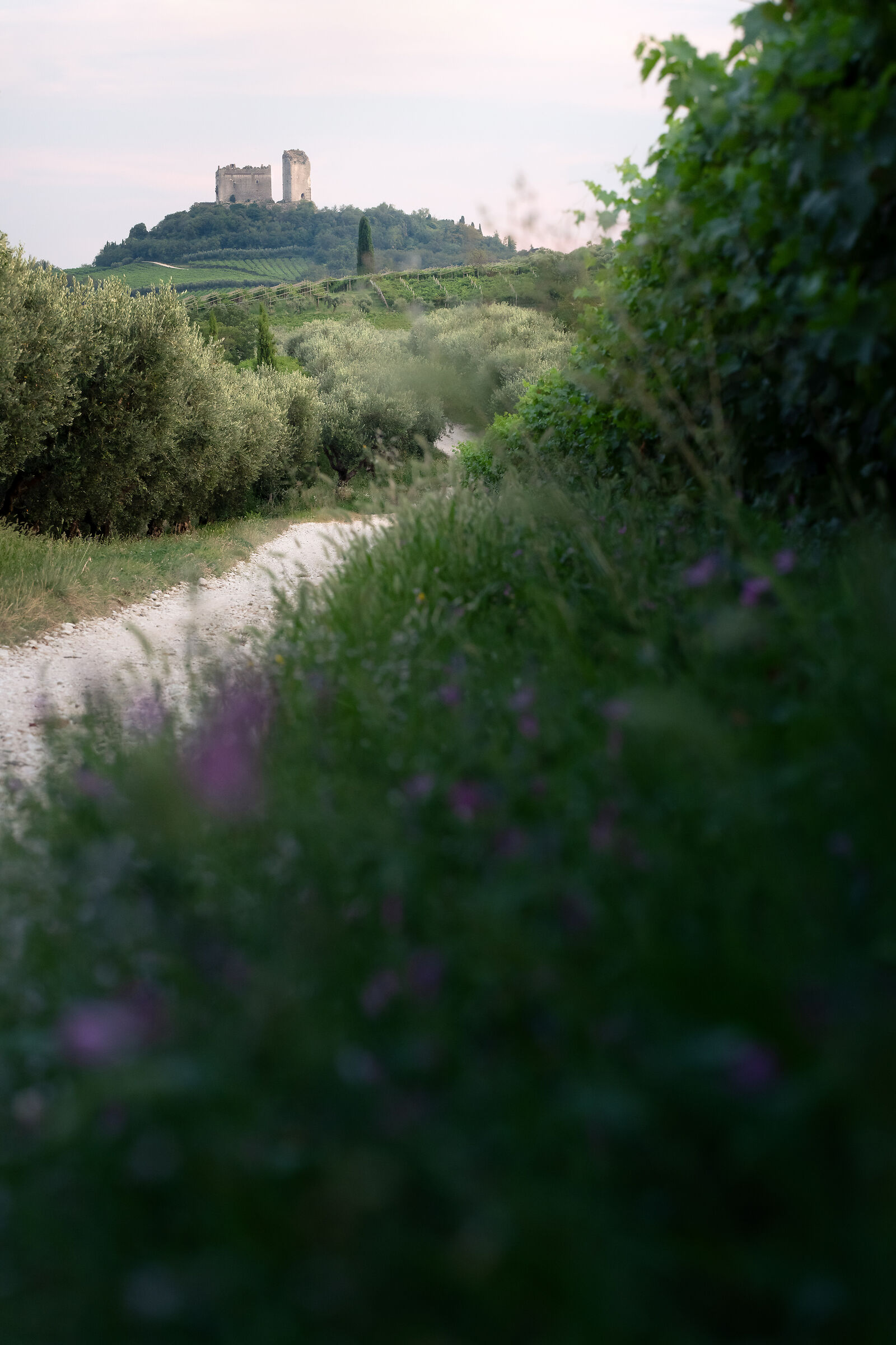 La “fortezza” di Illasi