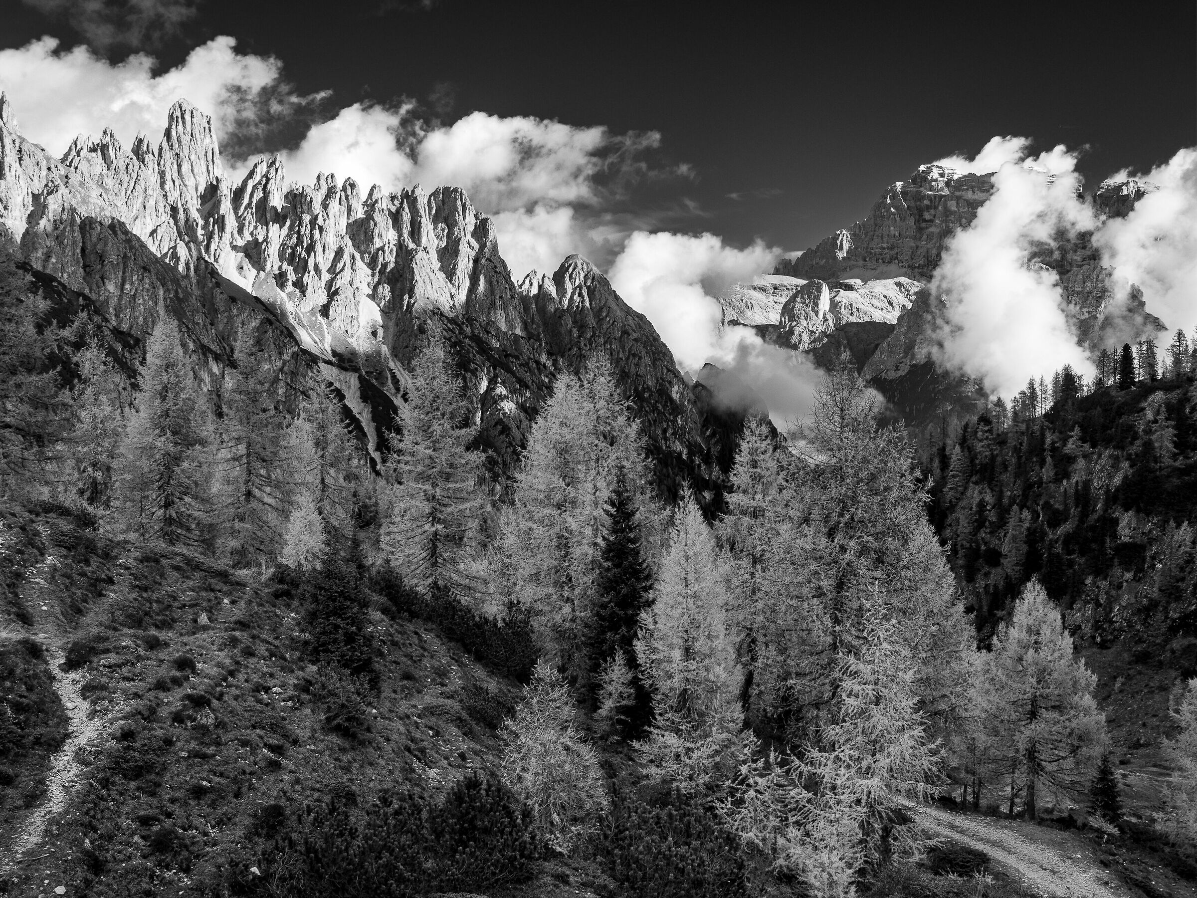 Il lato selvaggio...