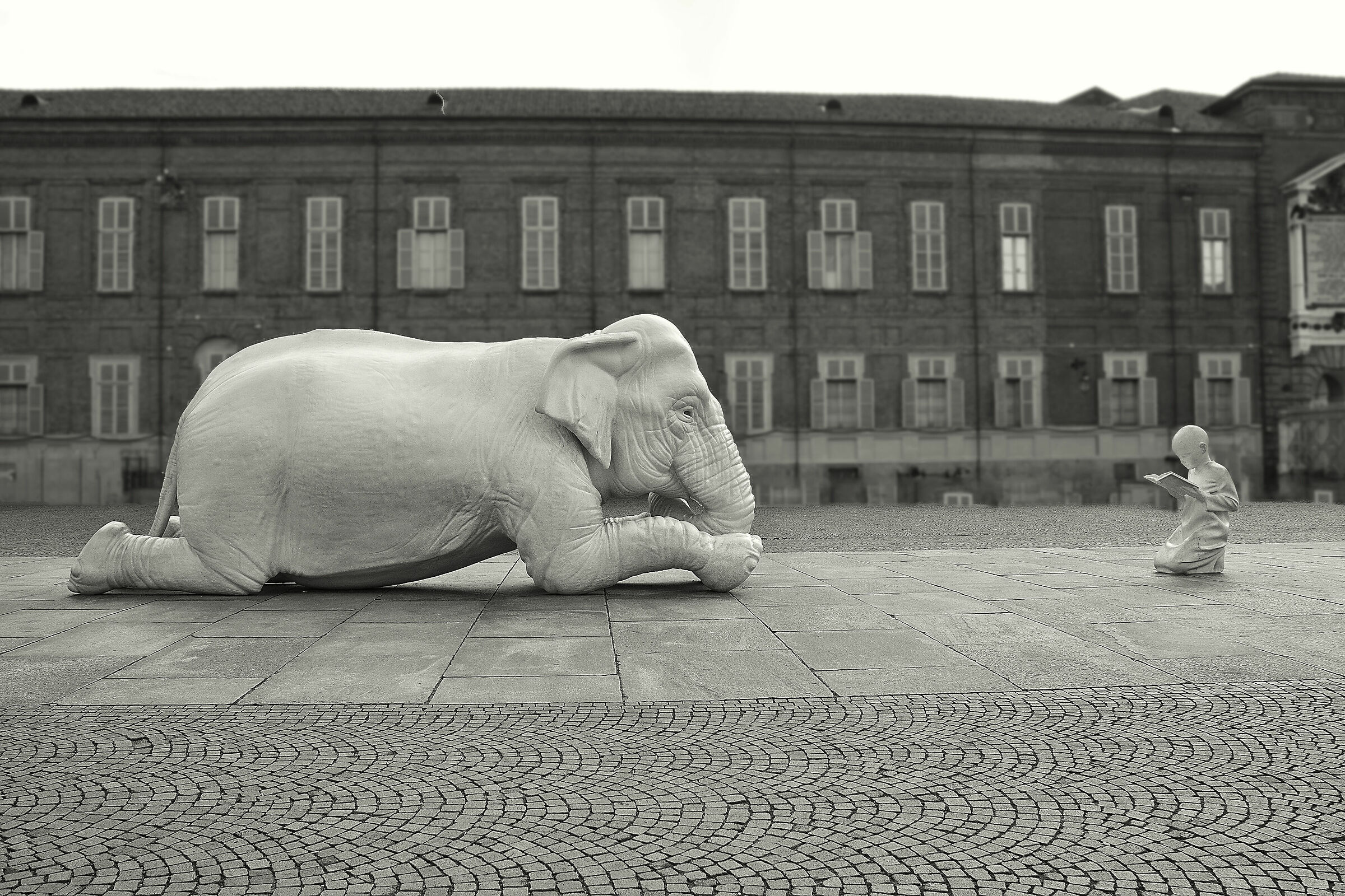 “Animali di corte. Vite mai viste nei Giardini Reali&#...