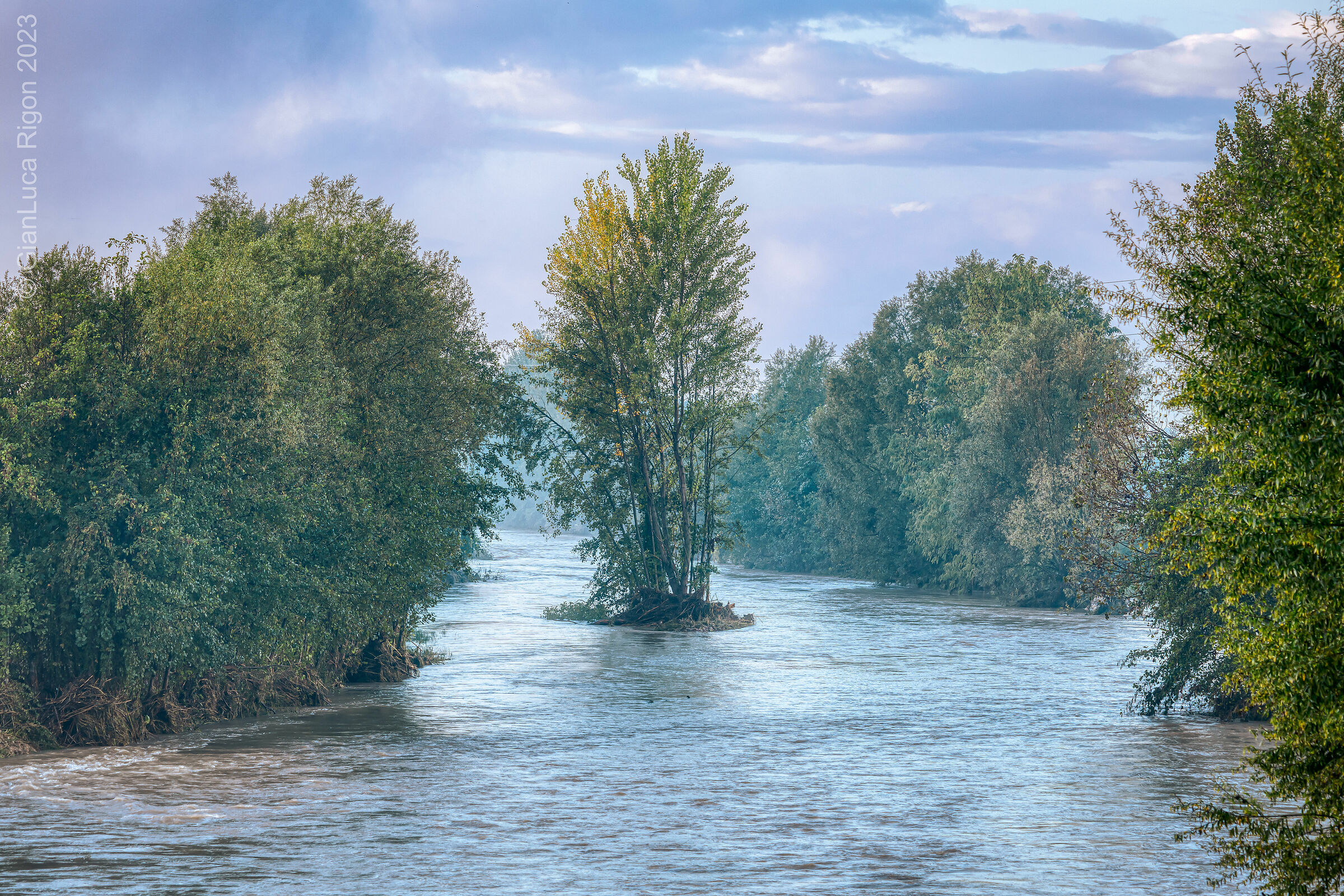 Isolotto sul Bacchiglione in piena