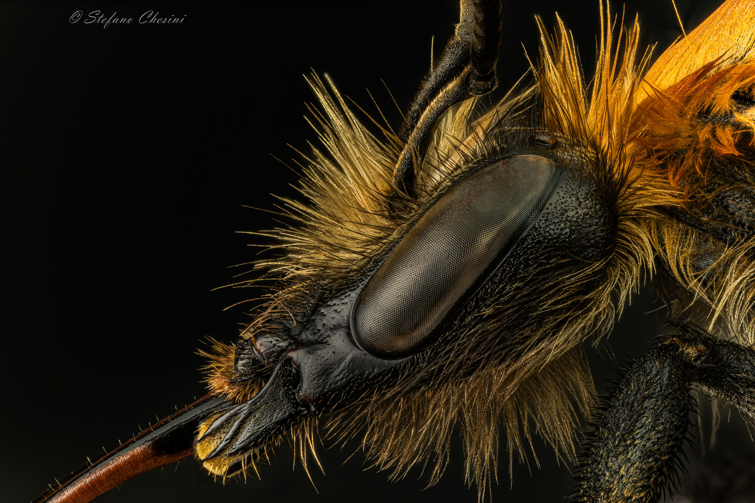 Buon Halloween anche da parte mia!!!