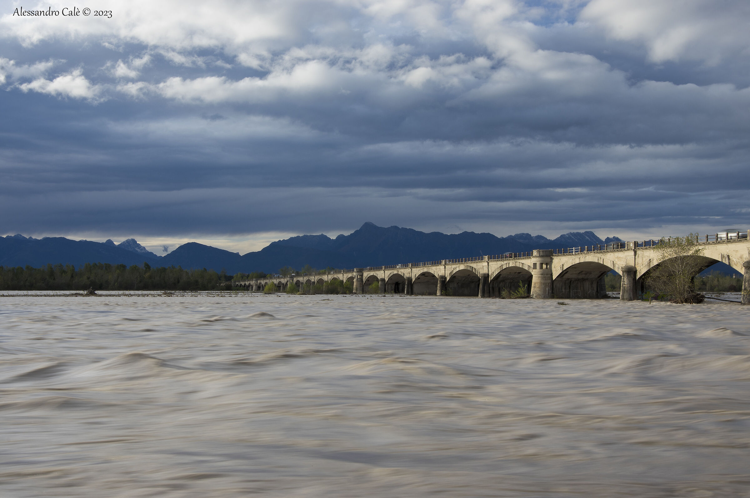 Fiume Tagliamento 2155