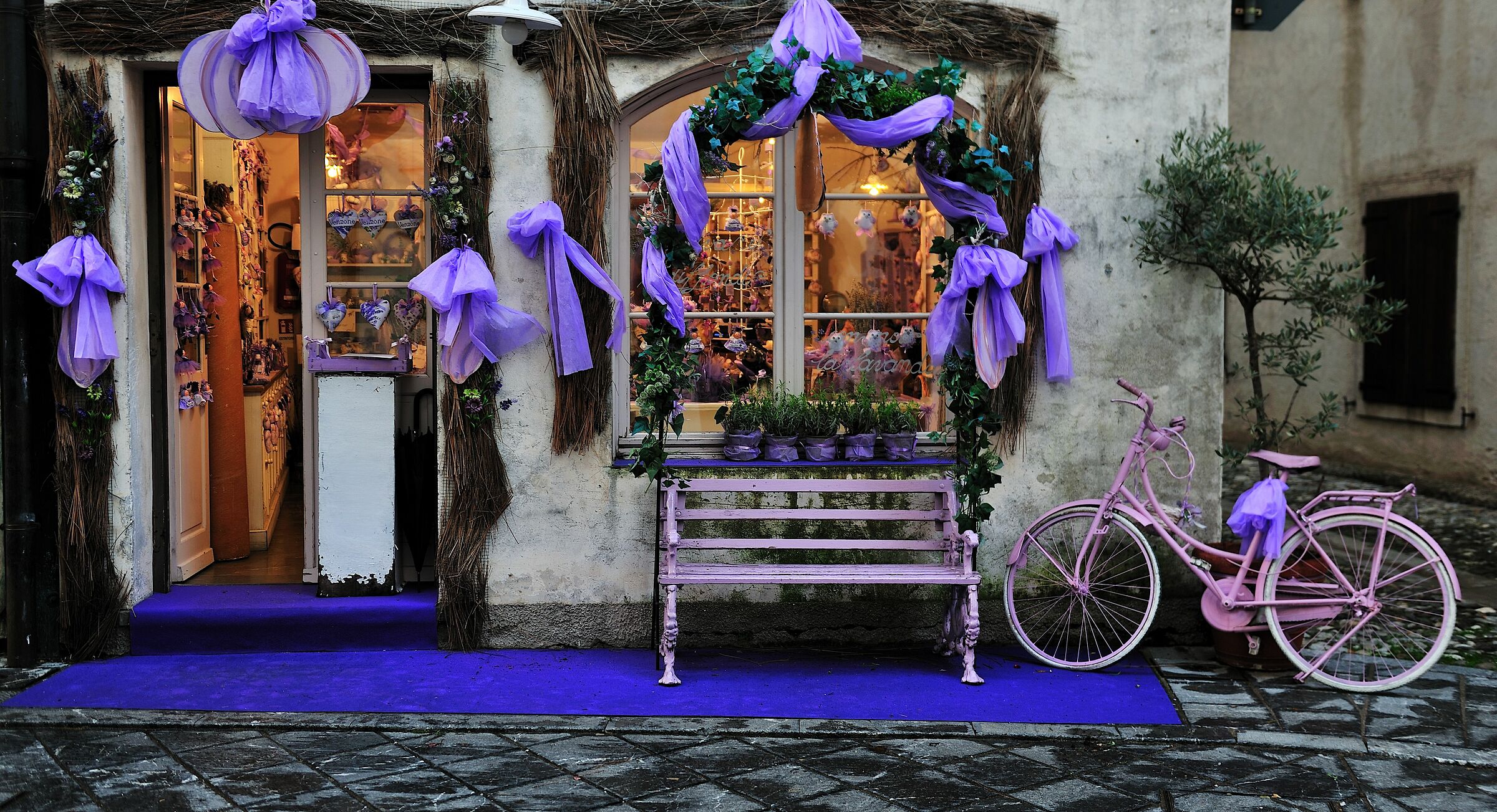 lavender shop