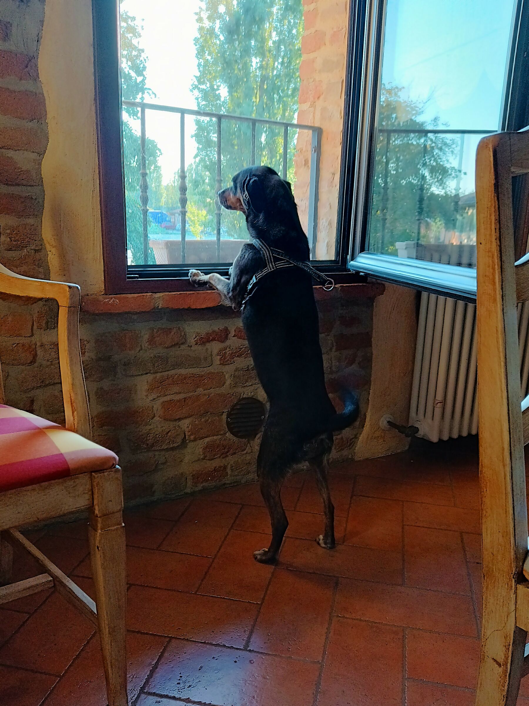 C'è un mondo là fuori...