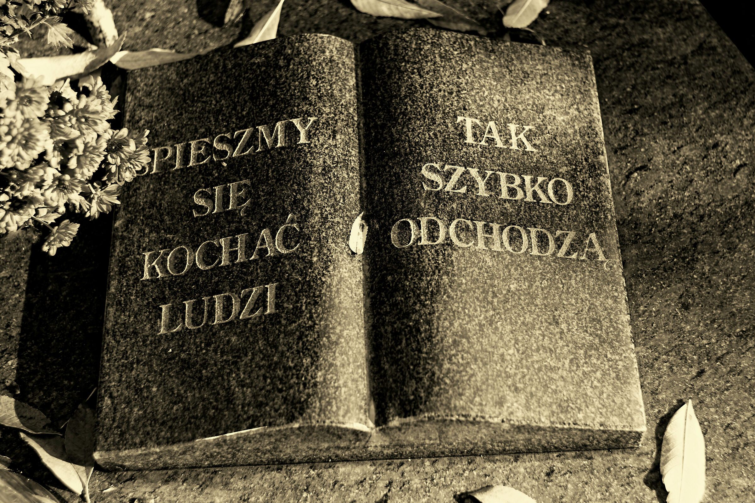 Let's hurry to love people, they leave so quickly