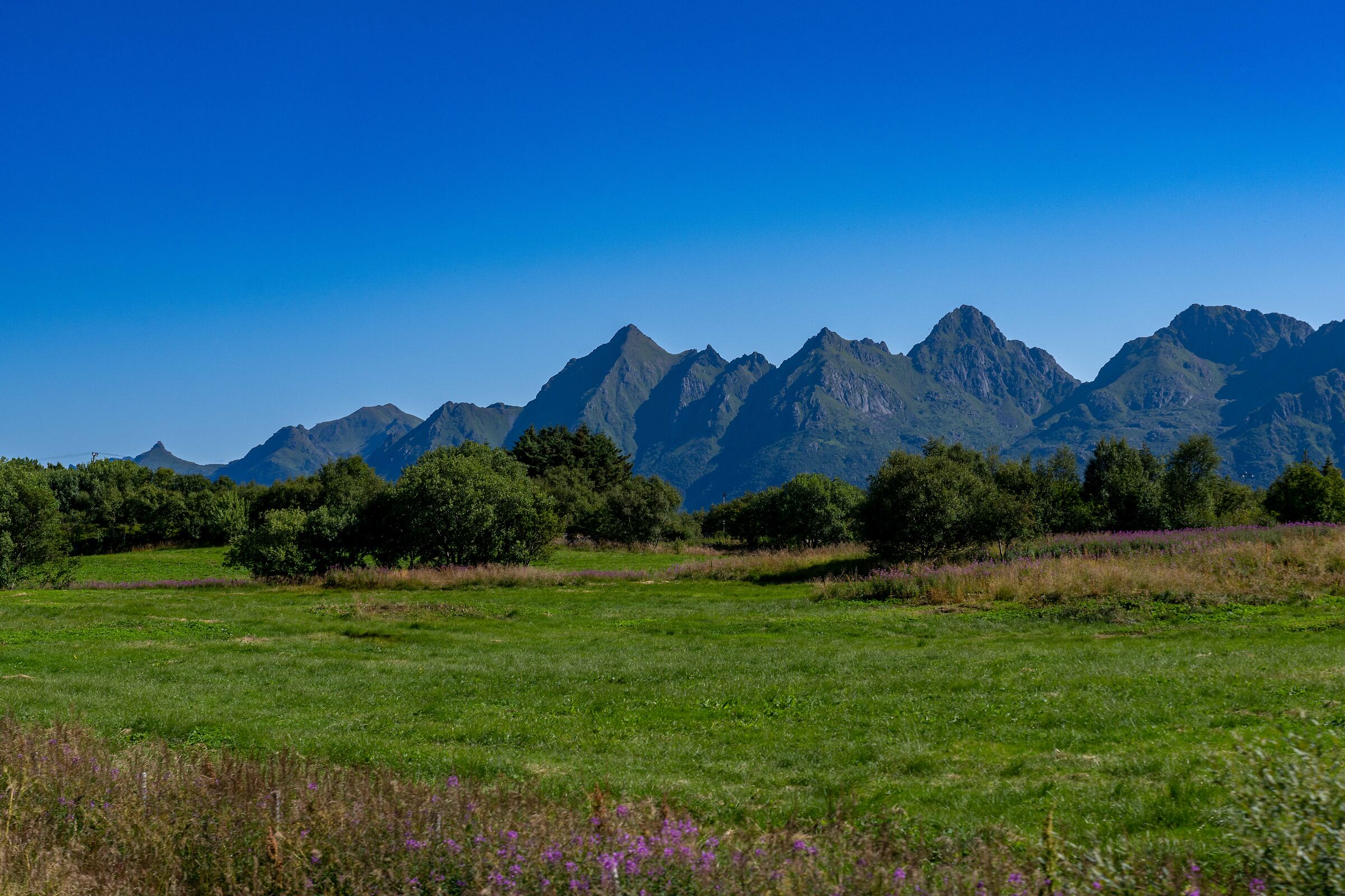 Lofoten