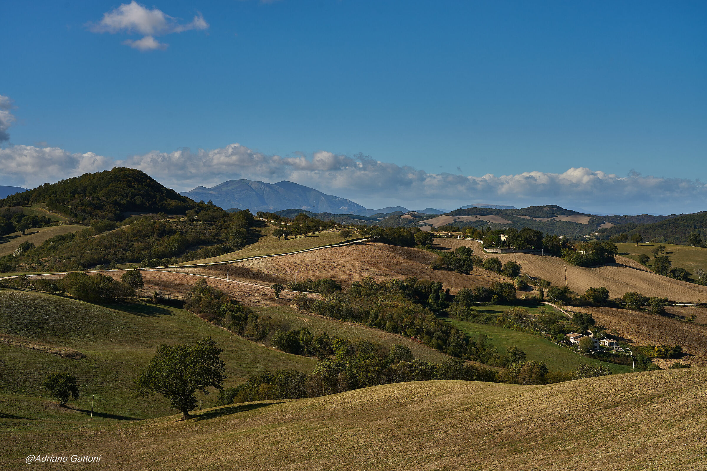 campagna marchigiana