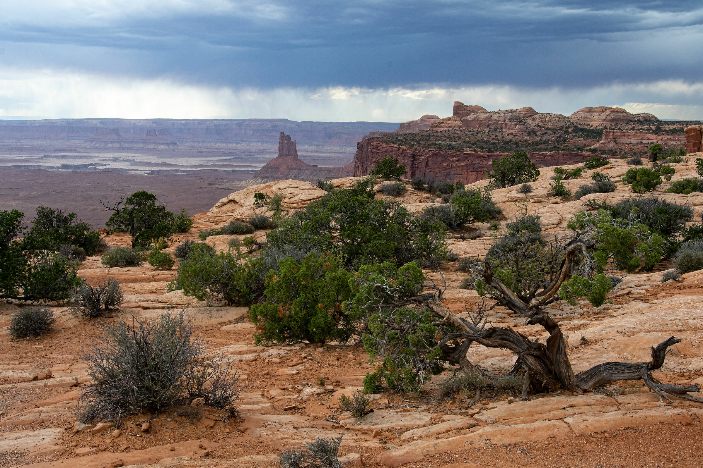 Candle Tower Desert (Canyonland Park, Utah)