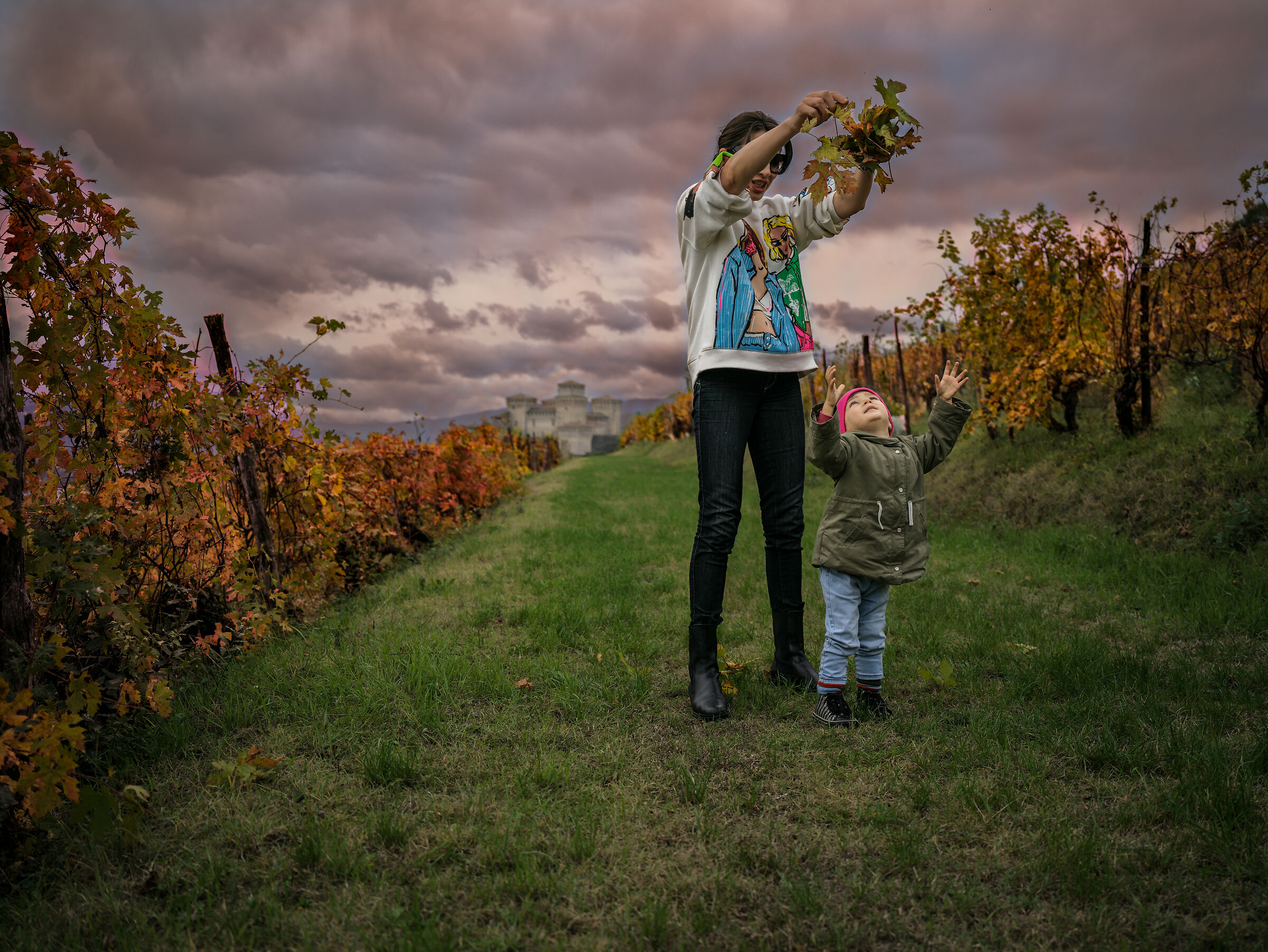 Le feuilles morte...