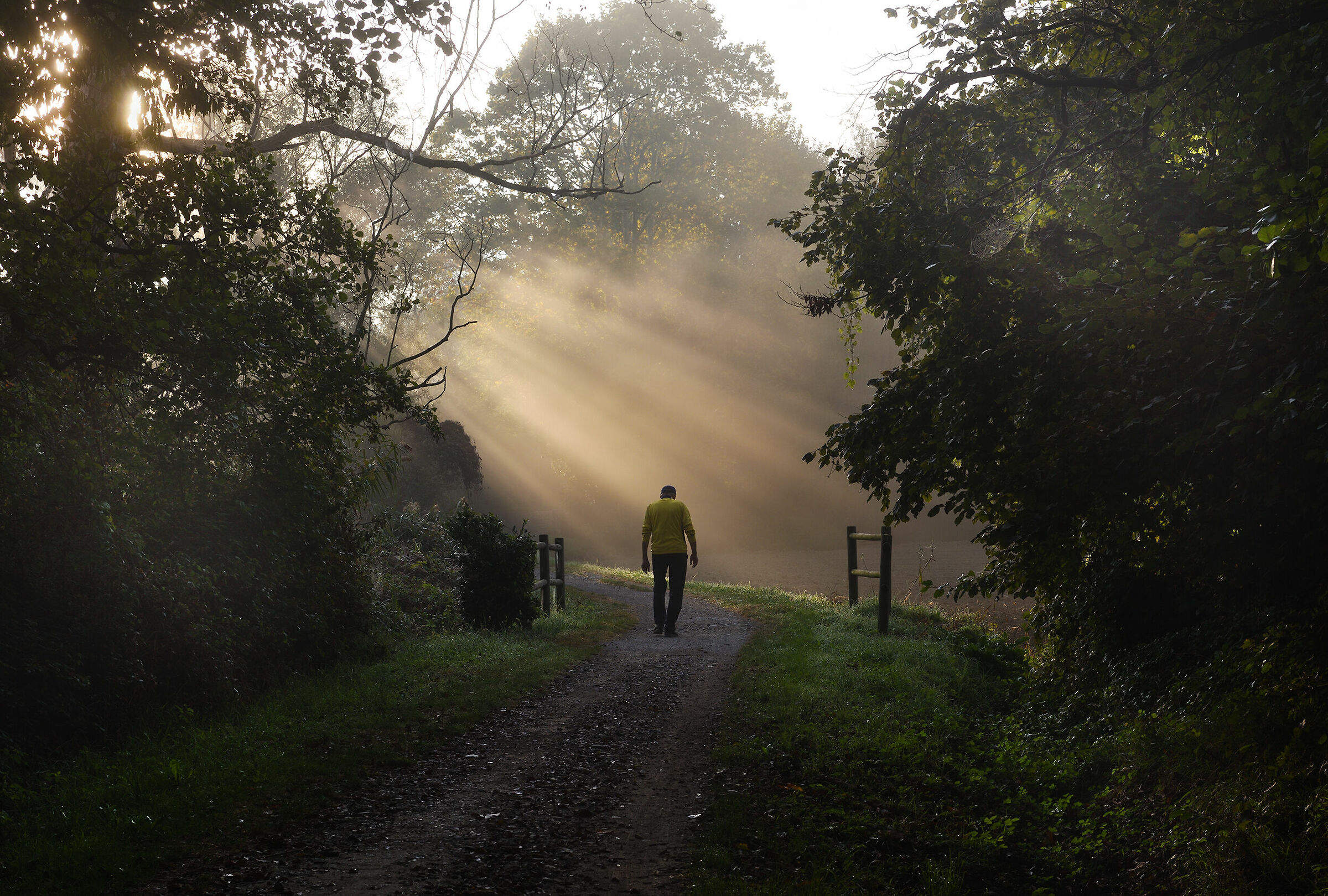 Accarezzato dai raggi