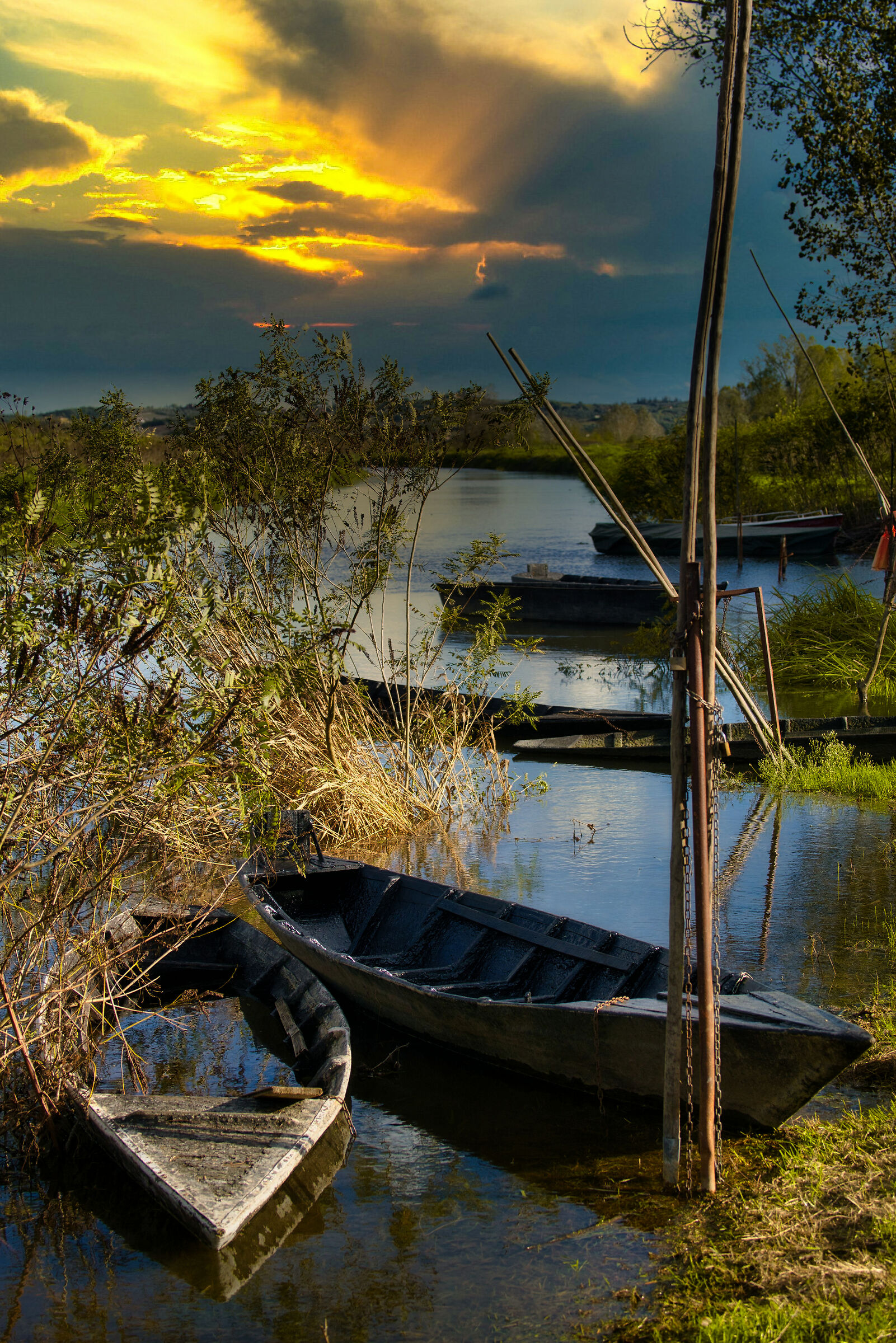 Fucecchio Marshes