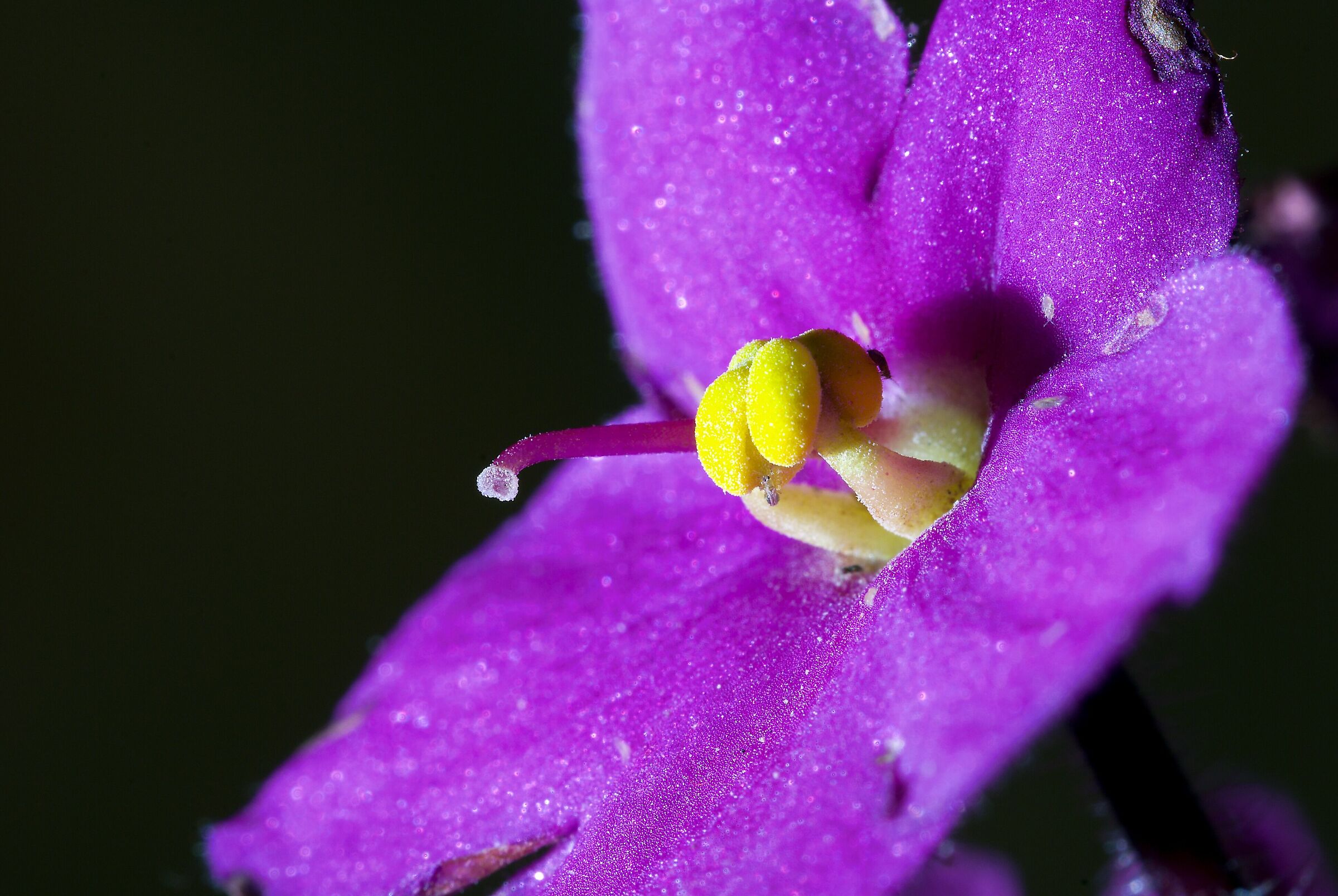 Everyone at the table